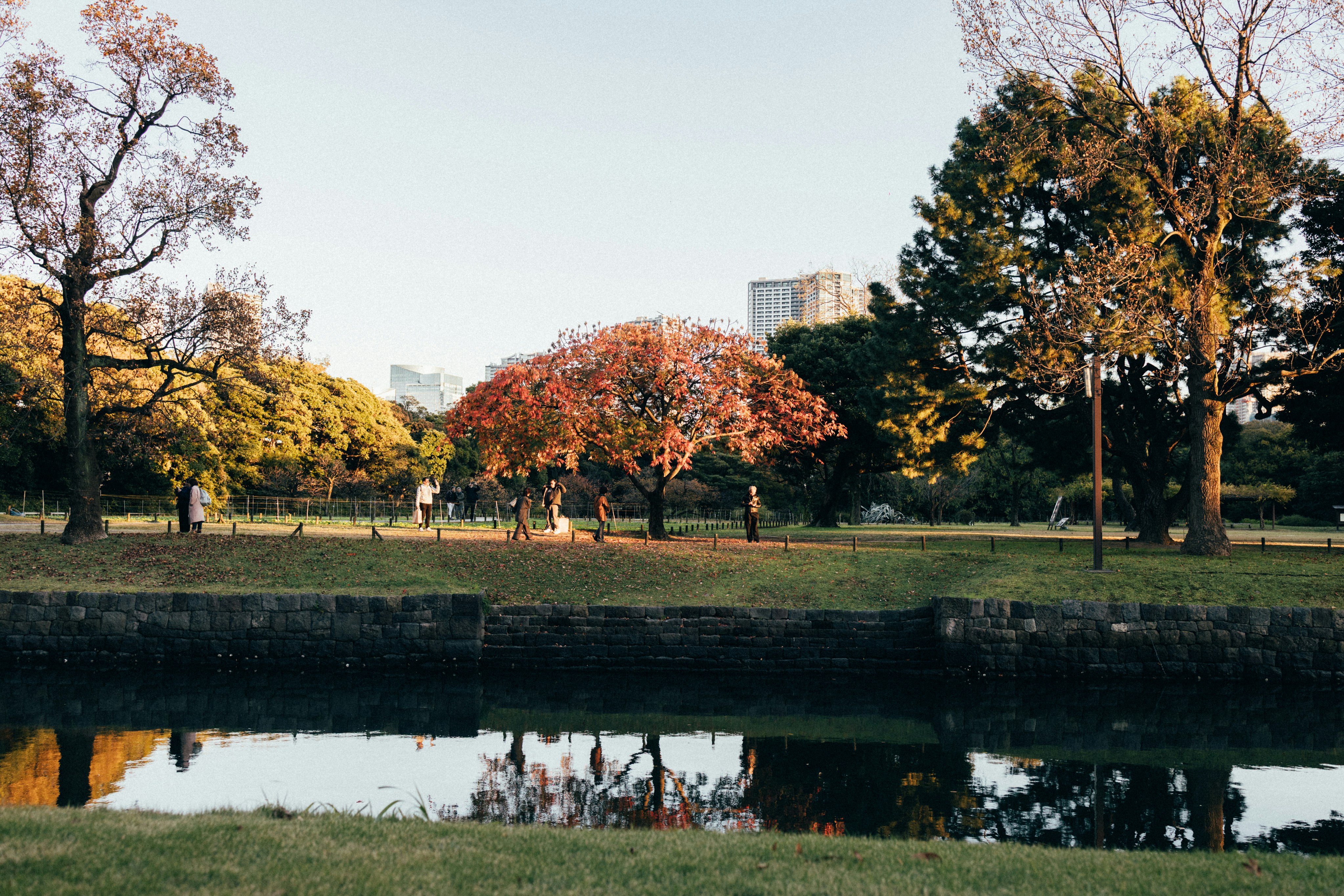 Photo by tsuyoshikozu