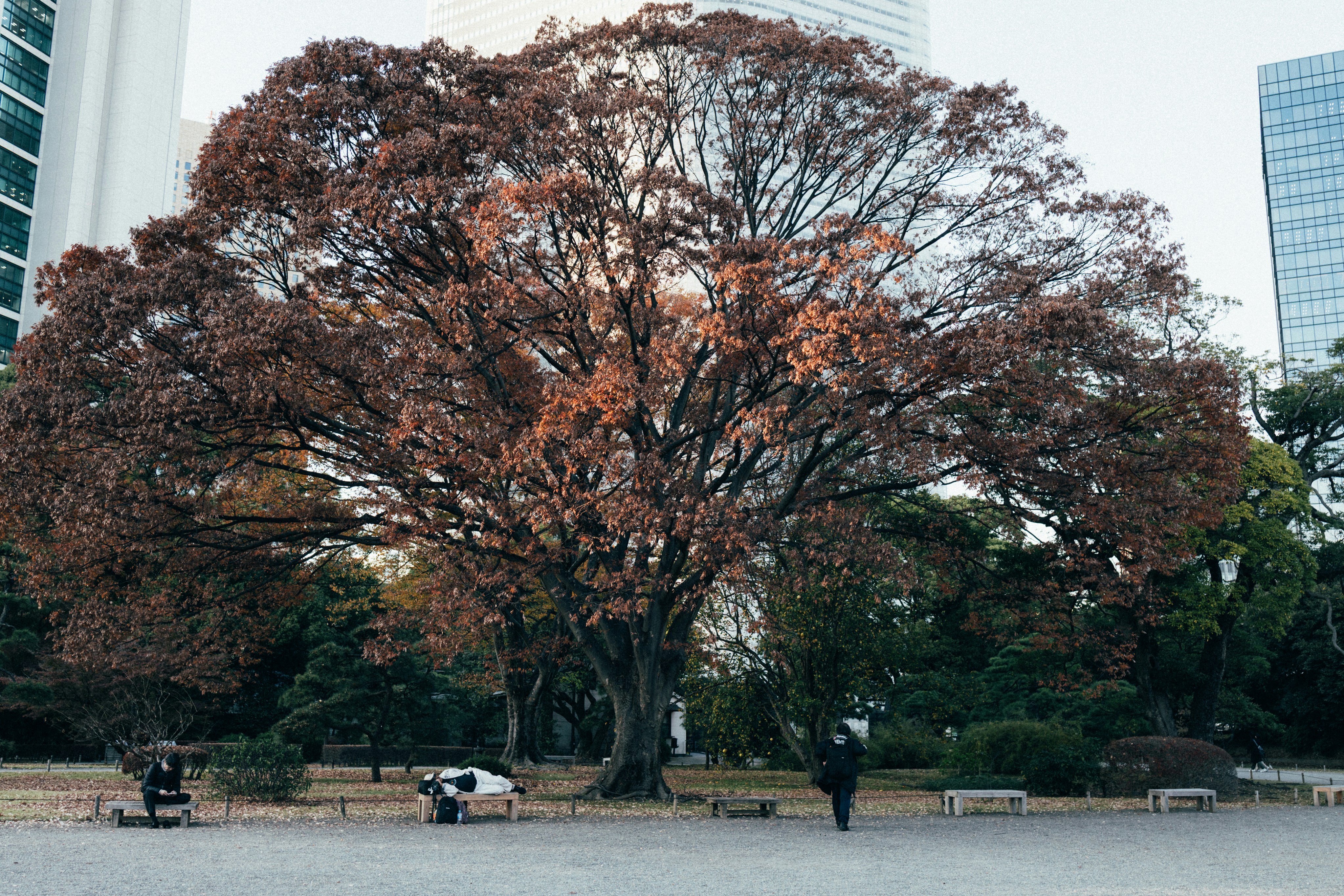 Hiroshima Central Park photo 3