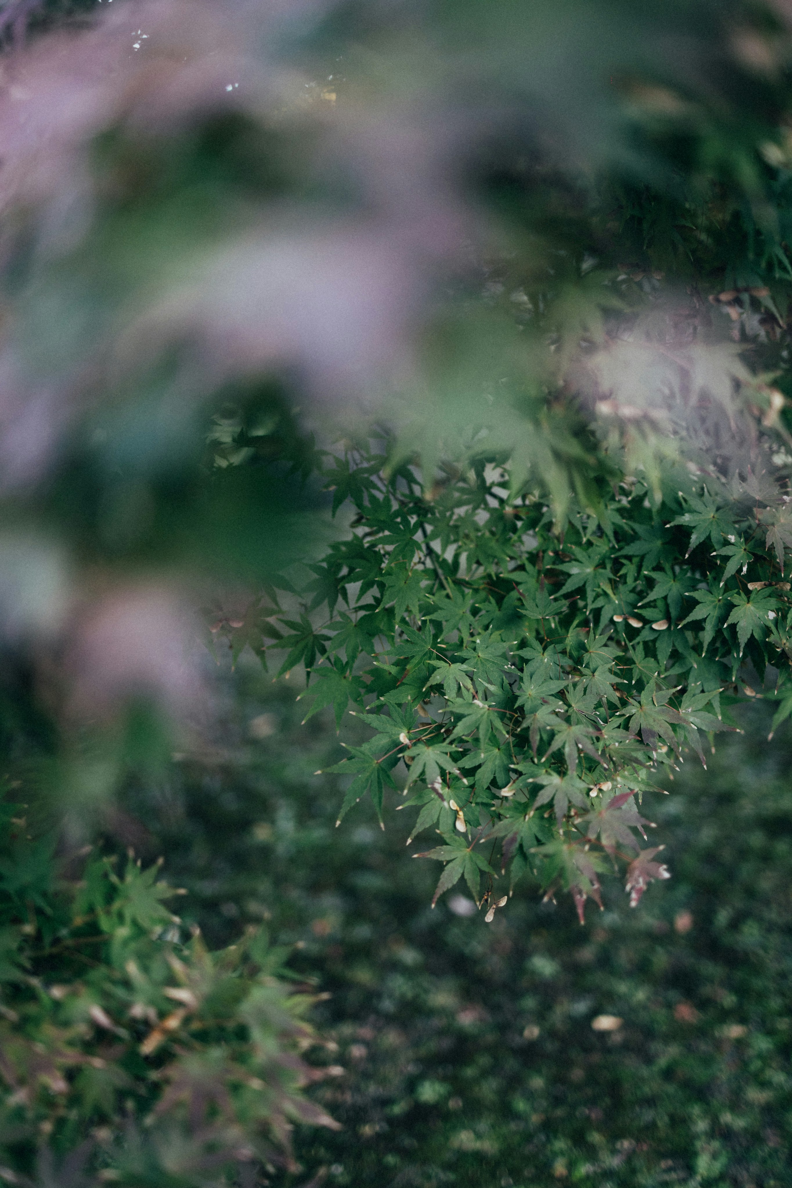 Photo by tsuyoshikozu