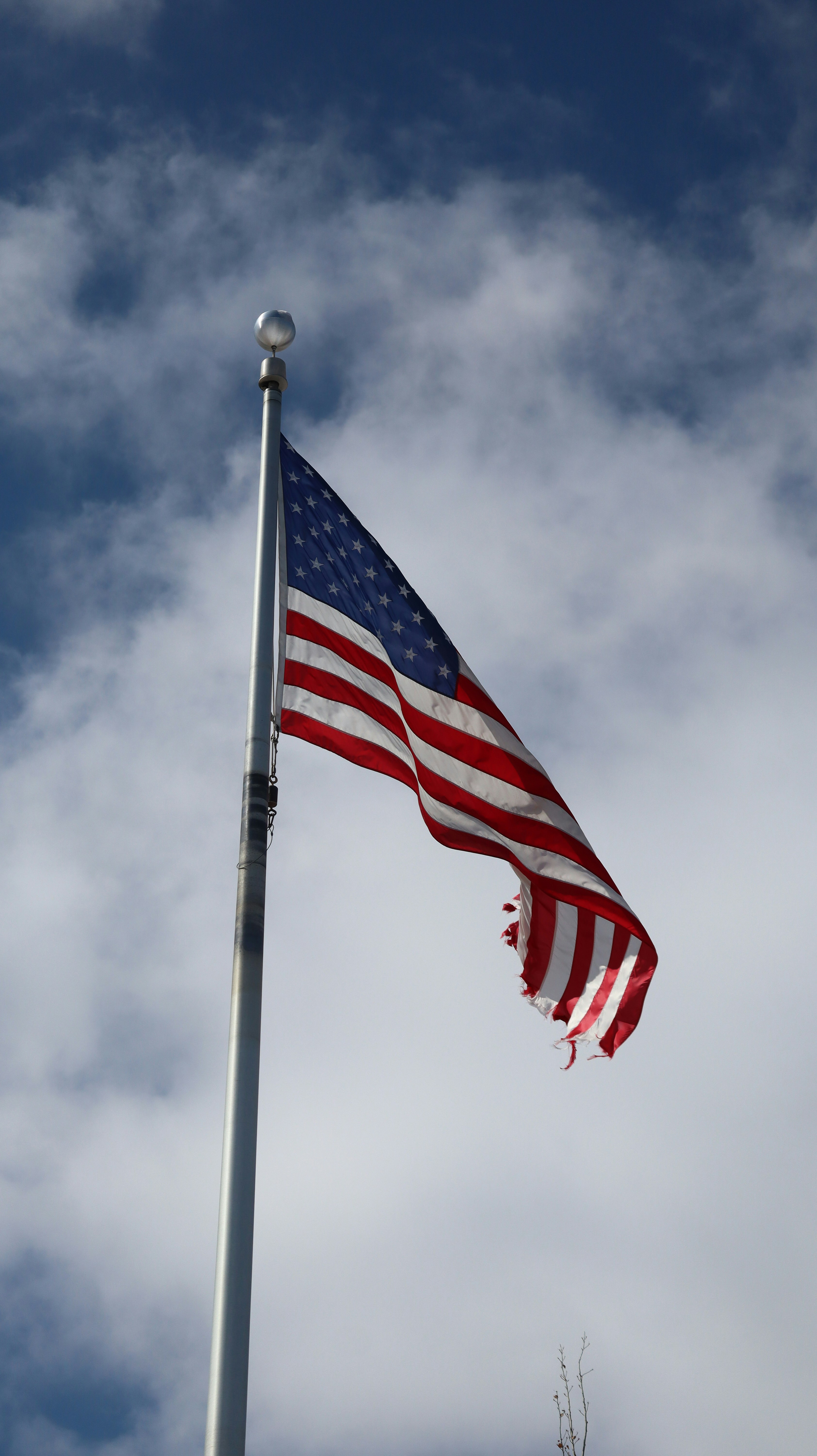 Photo by tory_hoffman