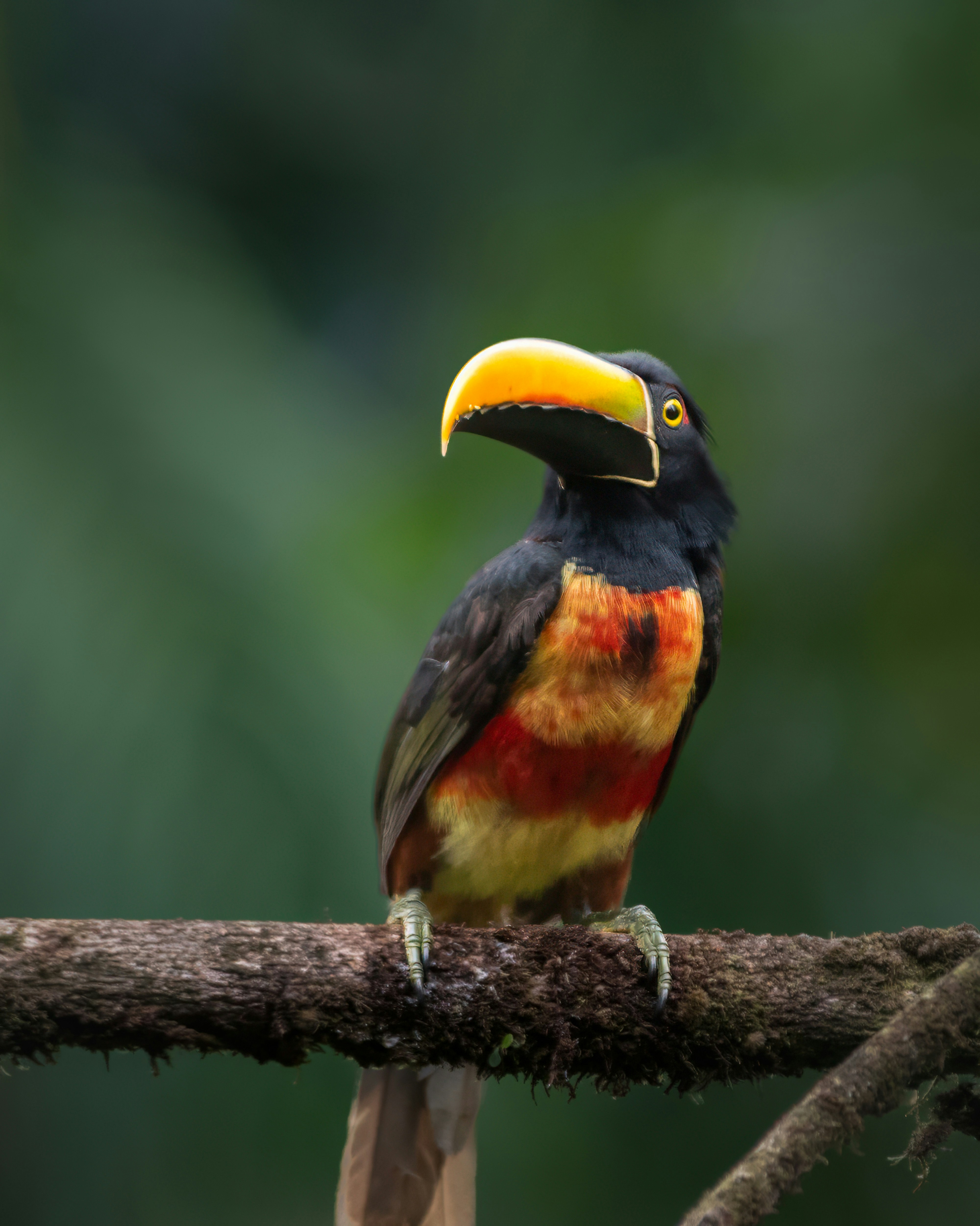 Photo by rob_bird_photography