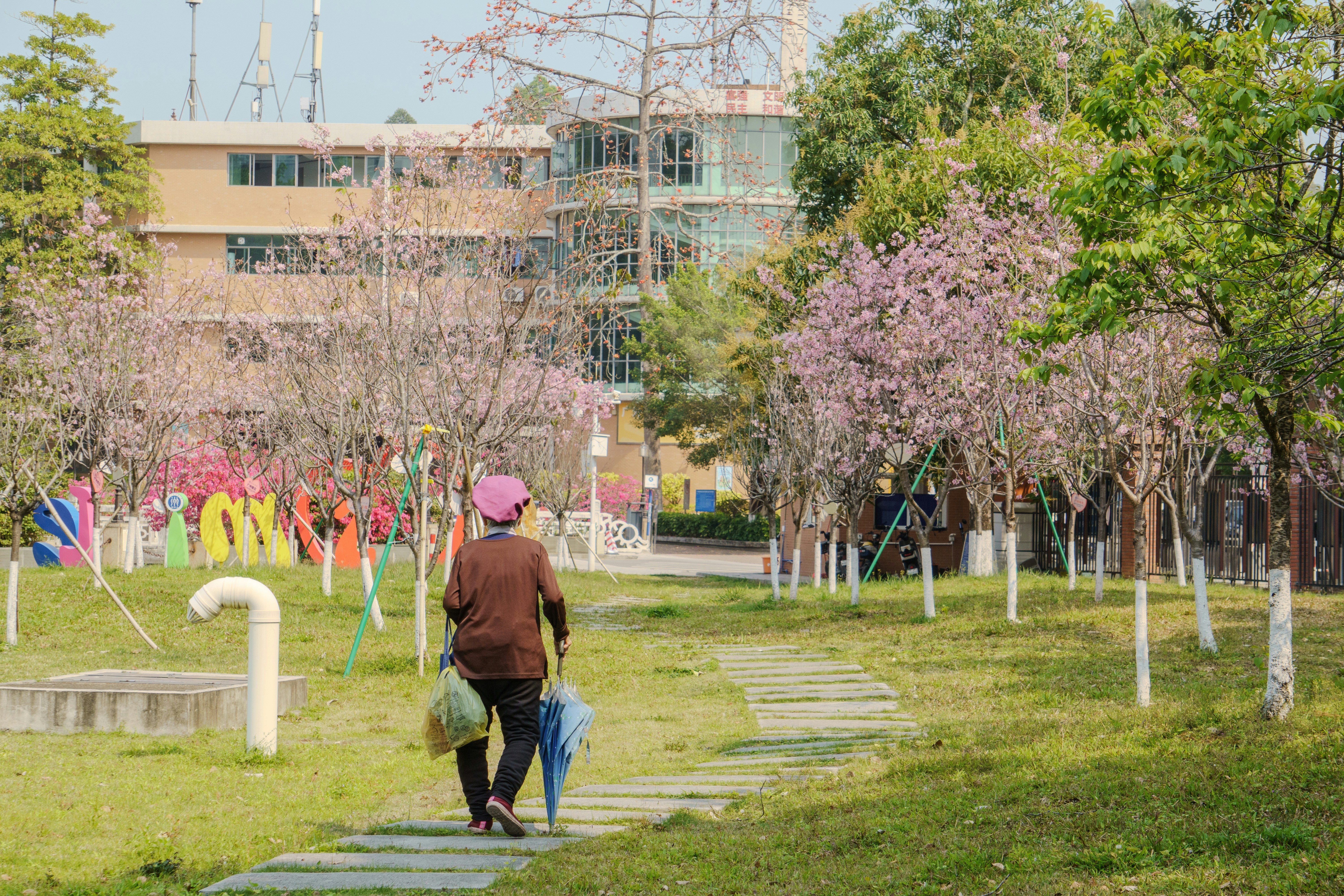 A woman walks through a park on a sunny day