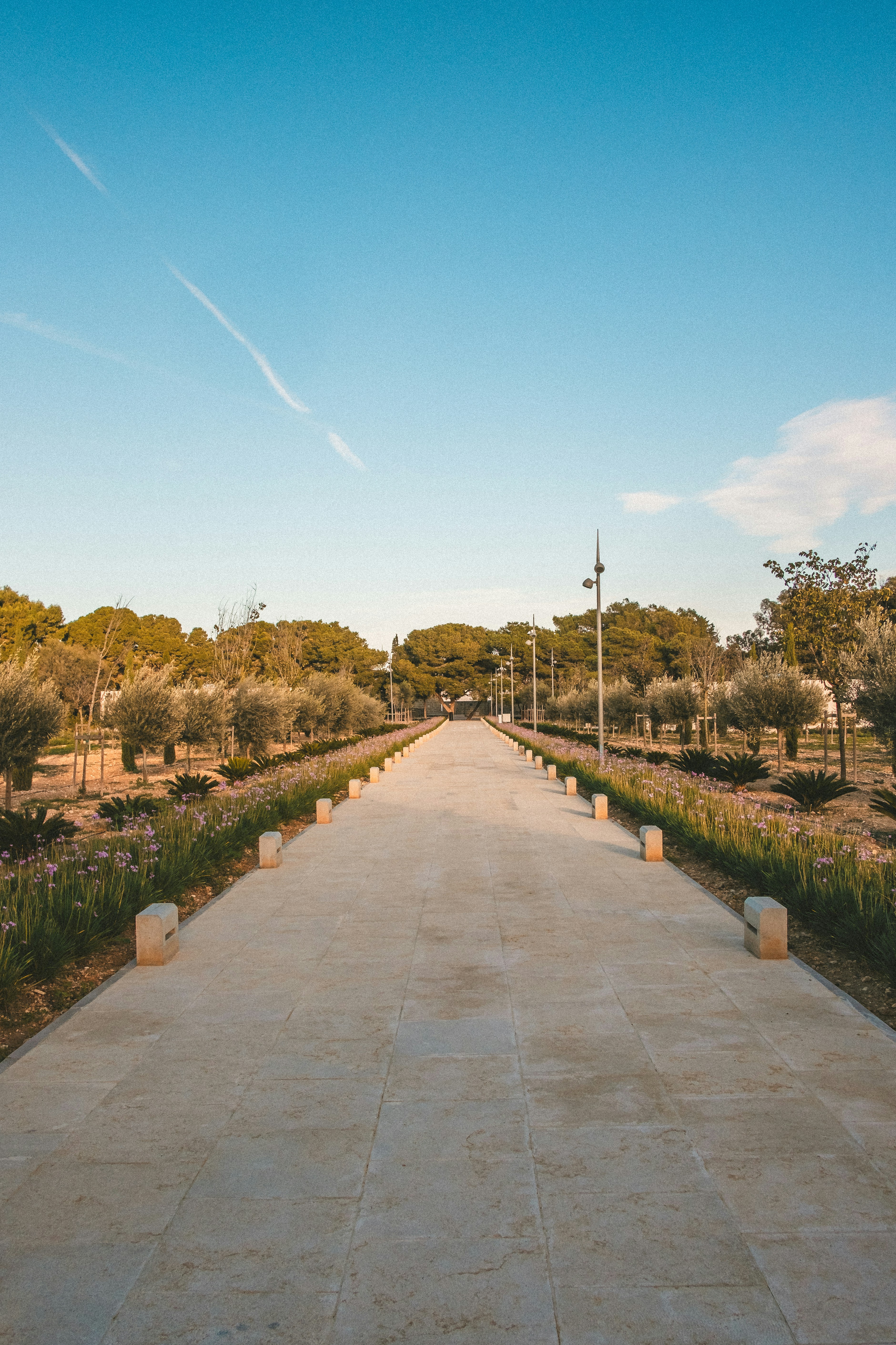 Photo by famyklebust