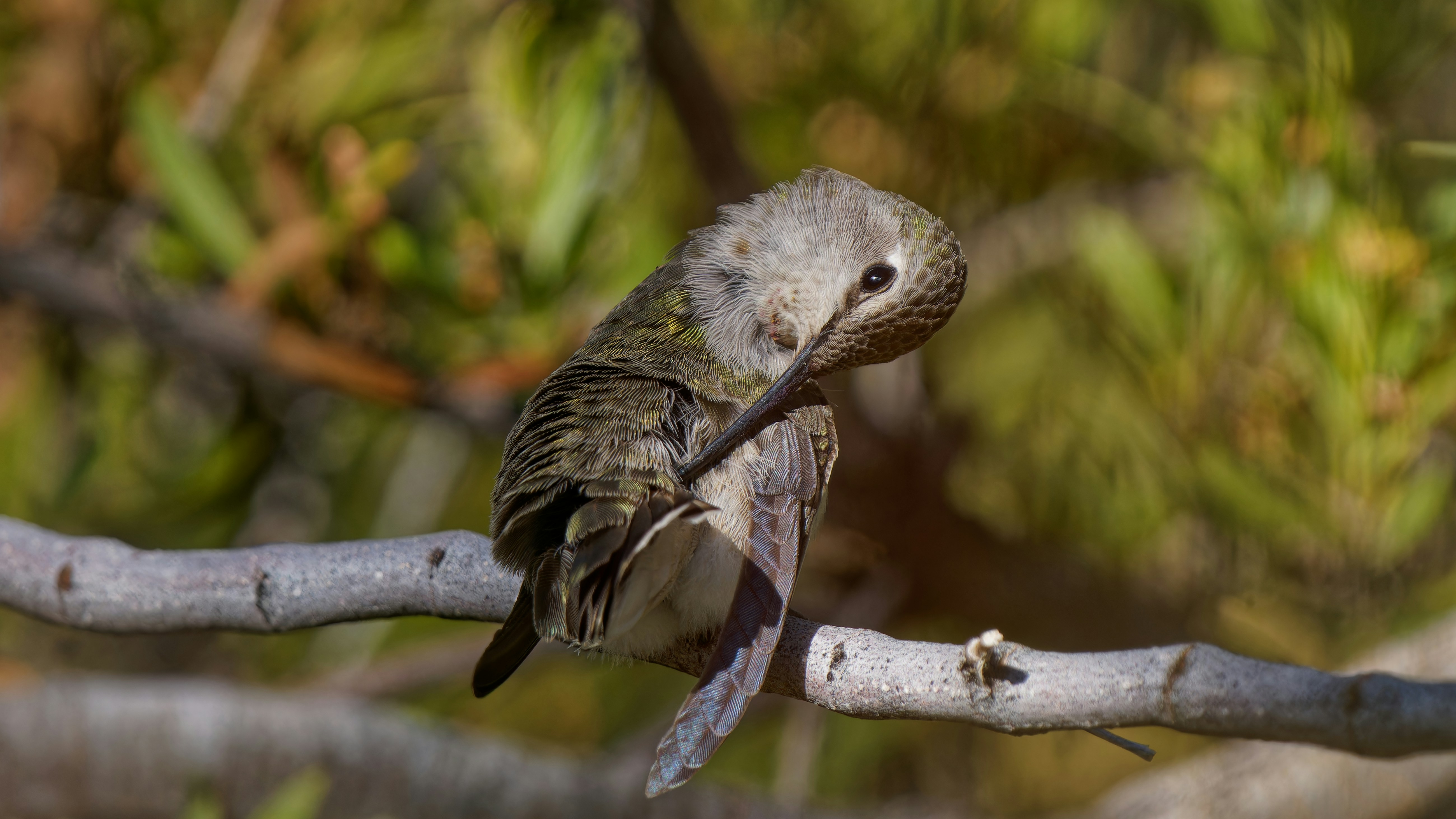 Photo by patrickbigelow_zoom_in