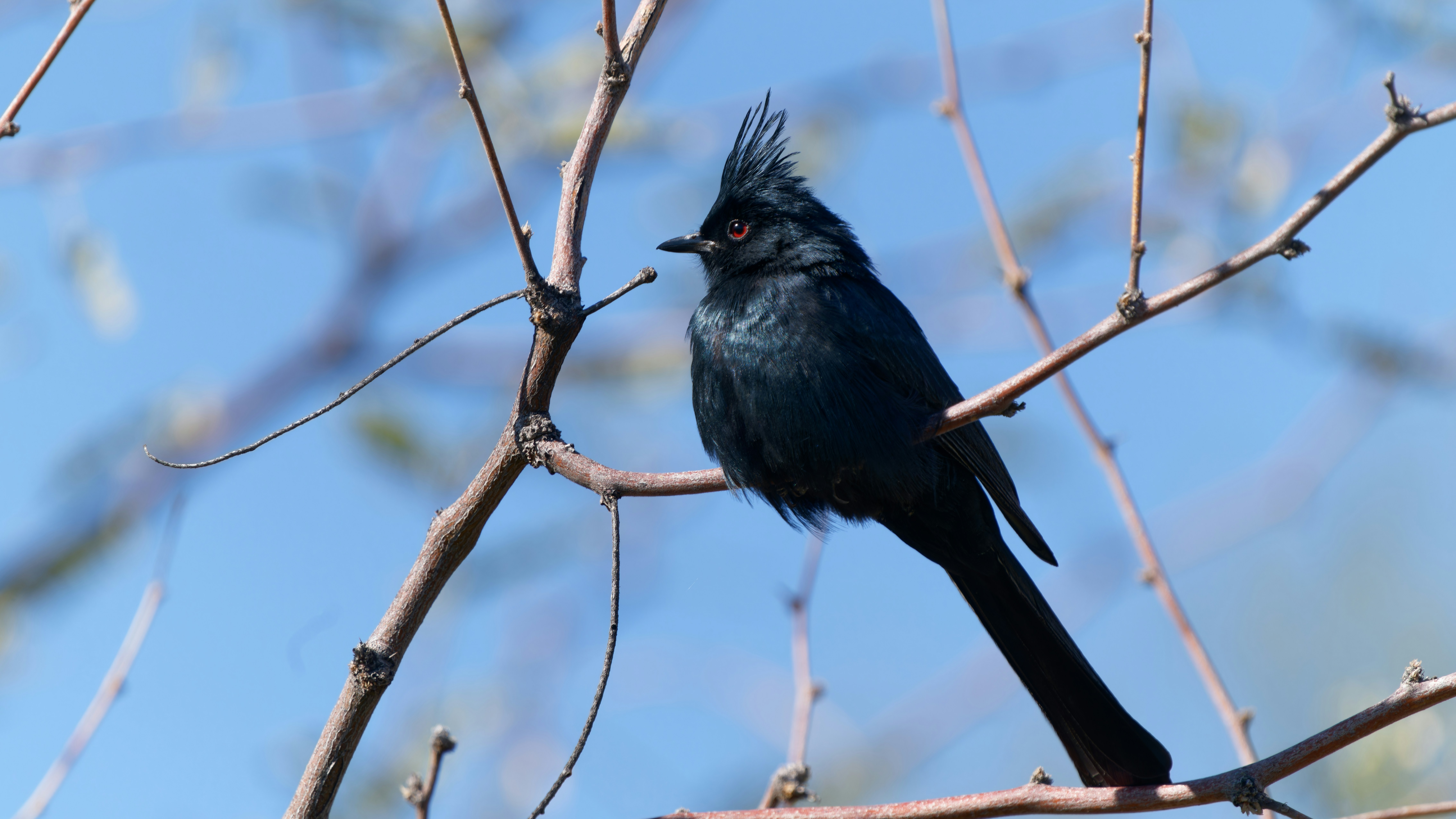 Photo by patrickbigelow_zoom_in