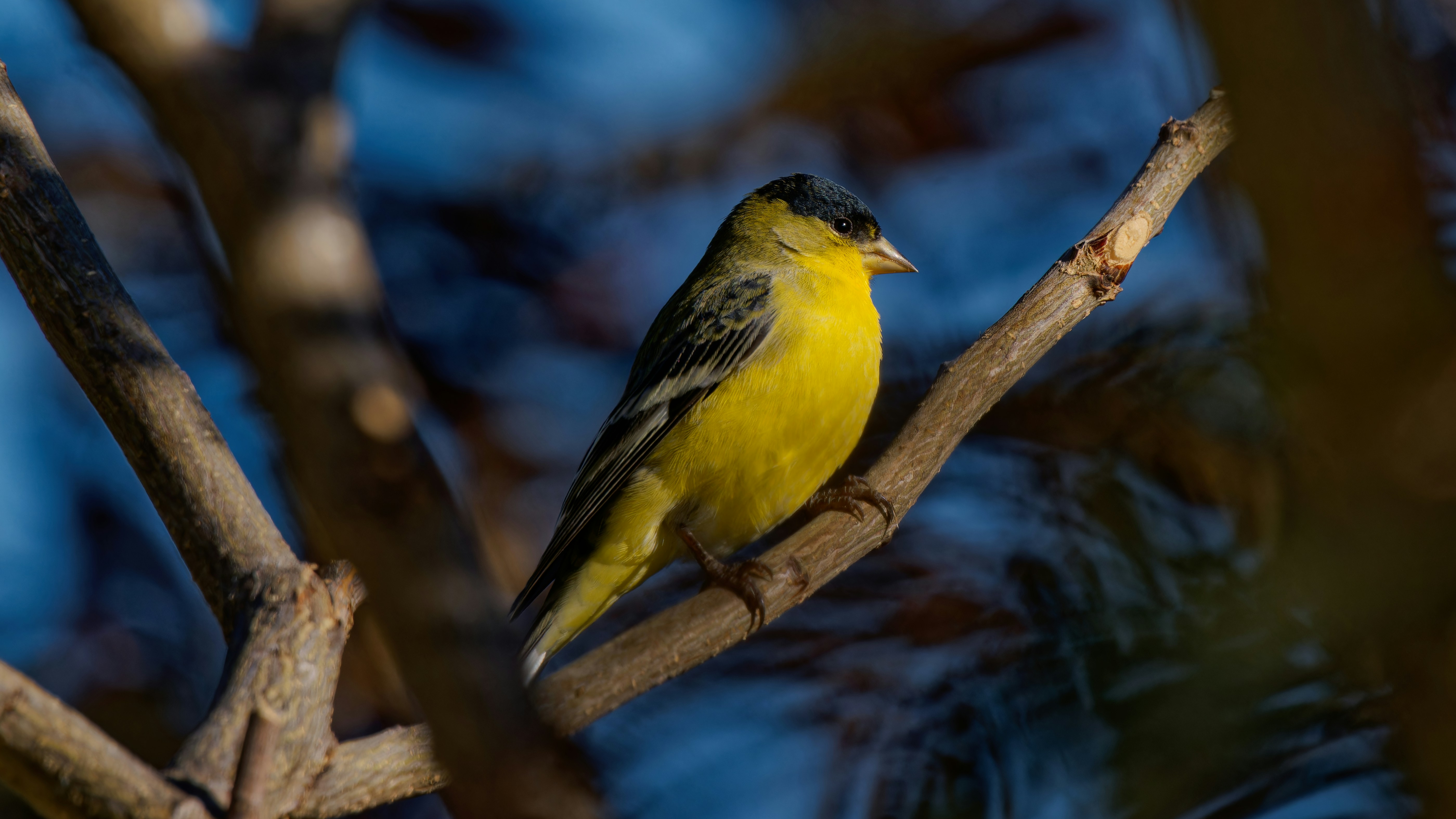 Photo by patrickbigelow_zoom_in