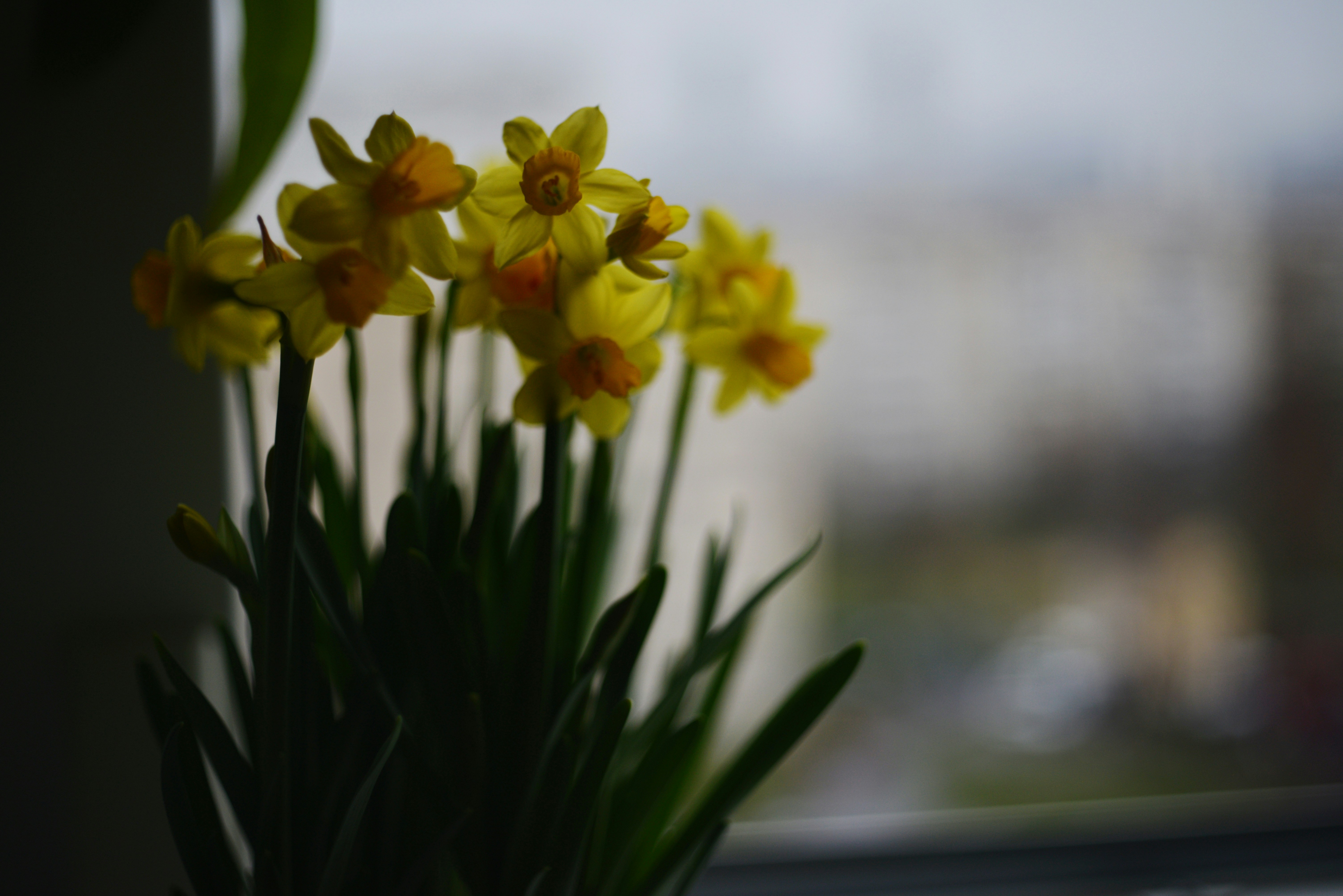 Photo by cherstve_pechivo