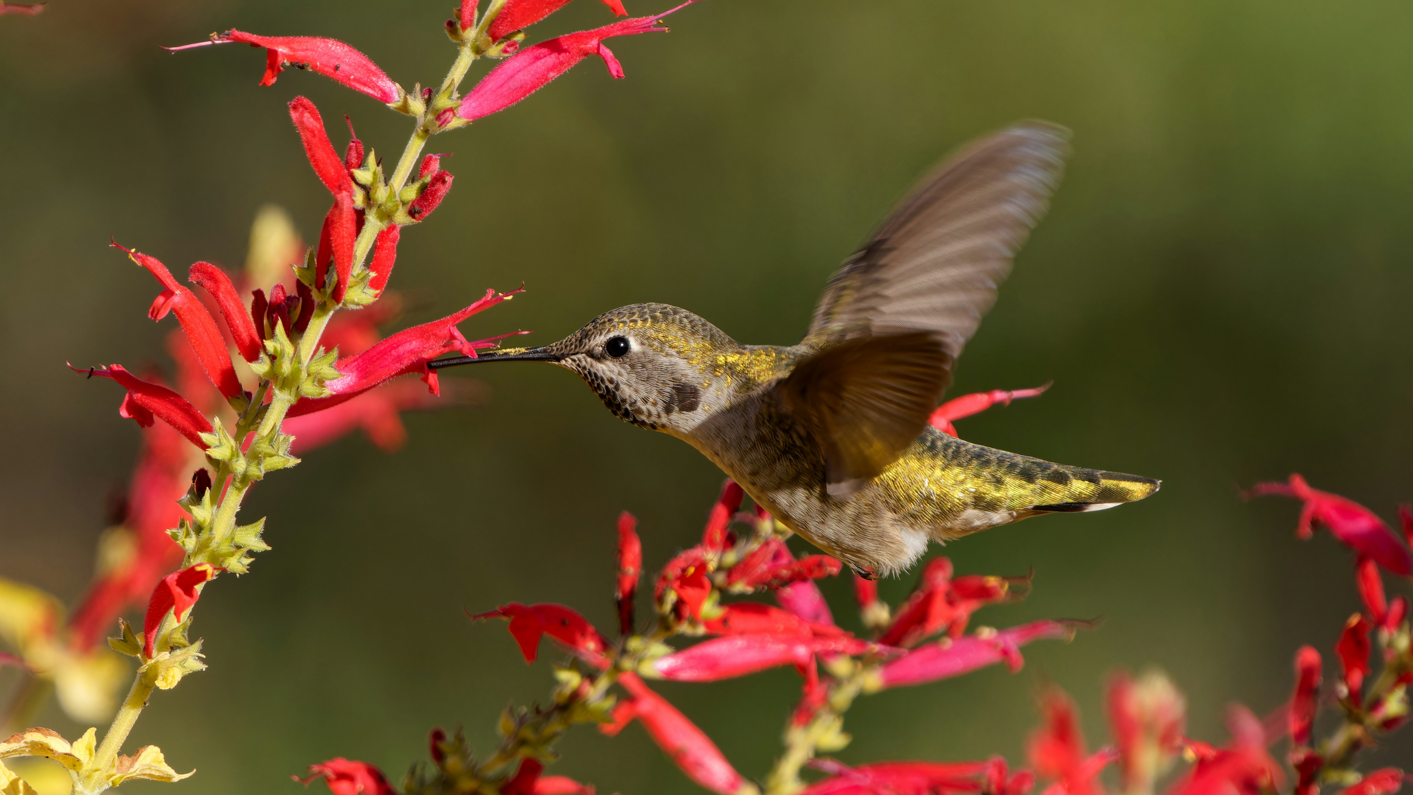 Photo by patrickbigelow_zoom_in