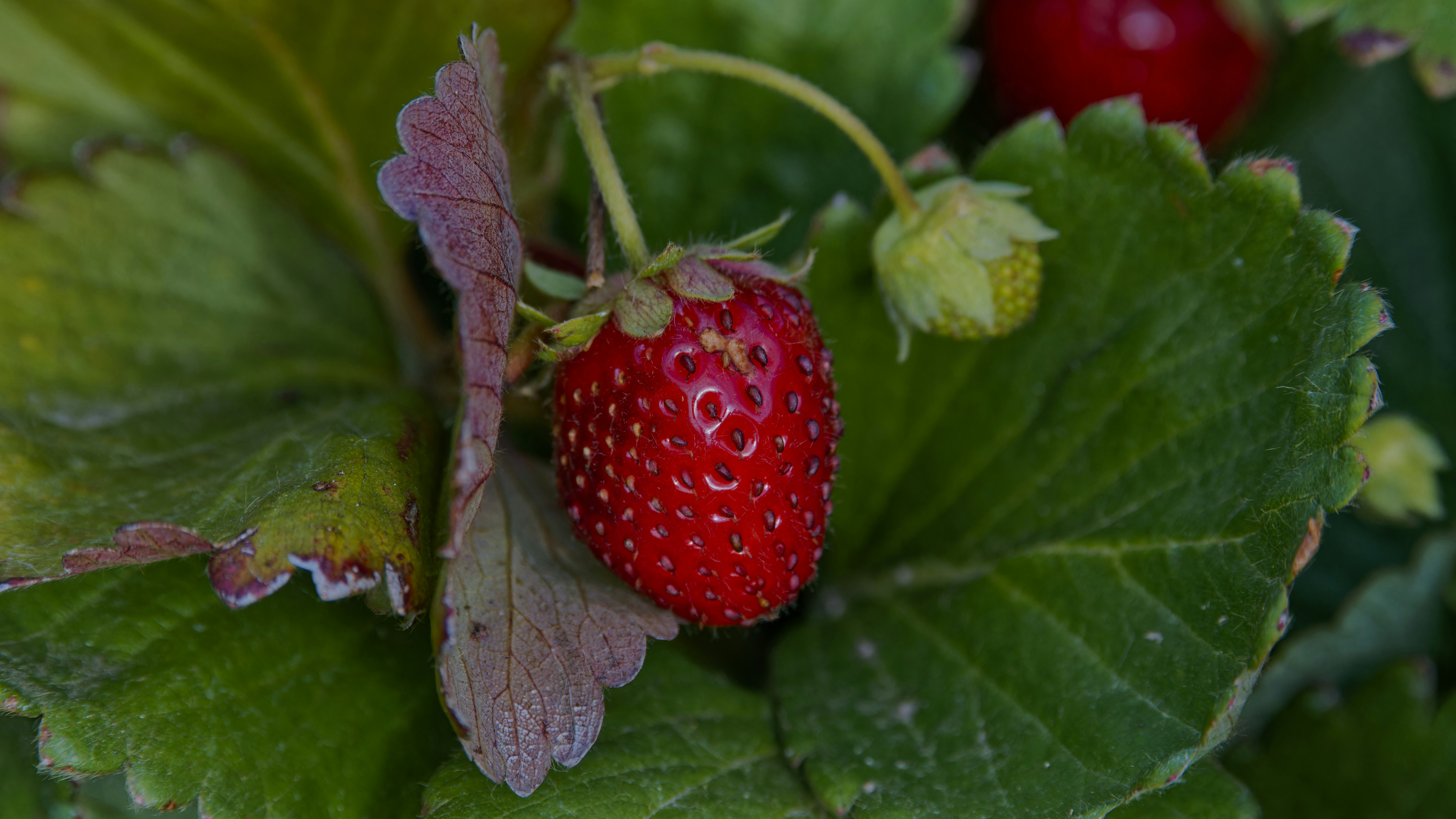 Photo by patrickbigelow_zoom_in