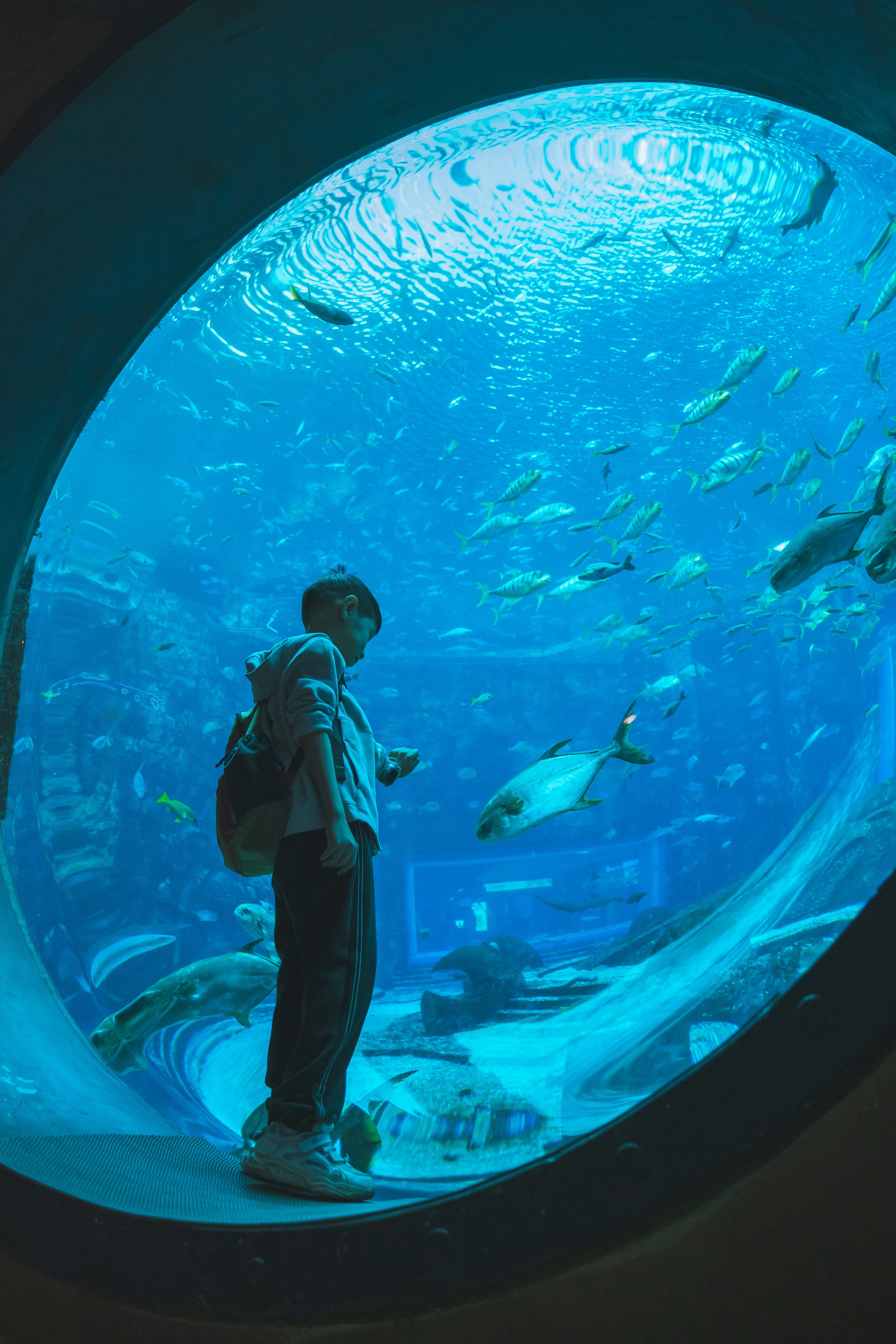 Photo by peek_a_boo_who