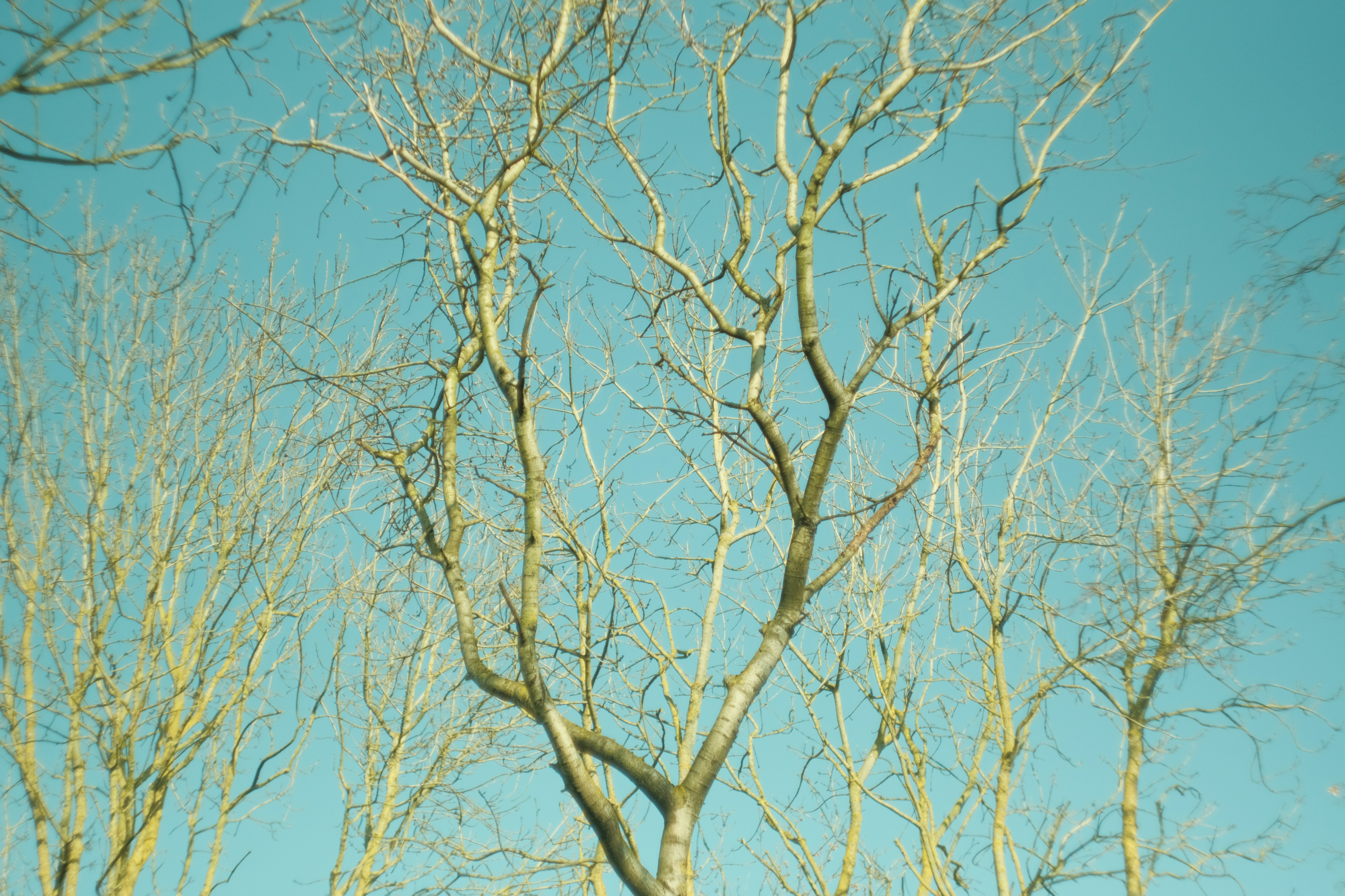 Photo by kyantijhuis