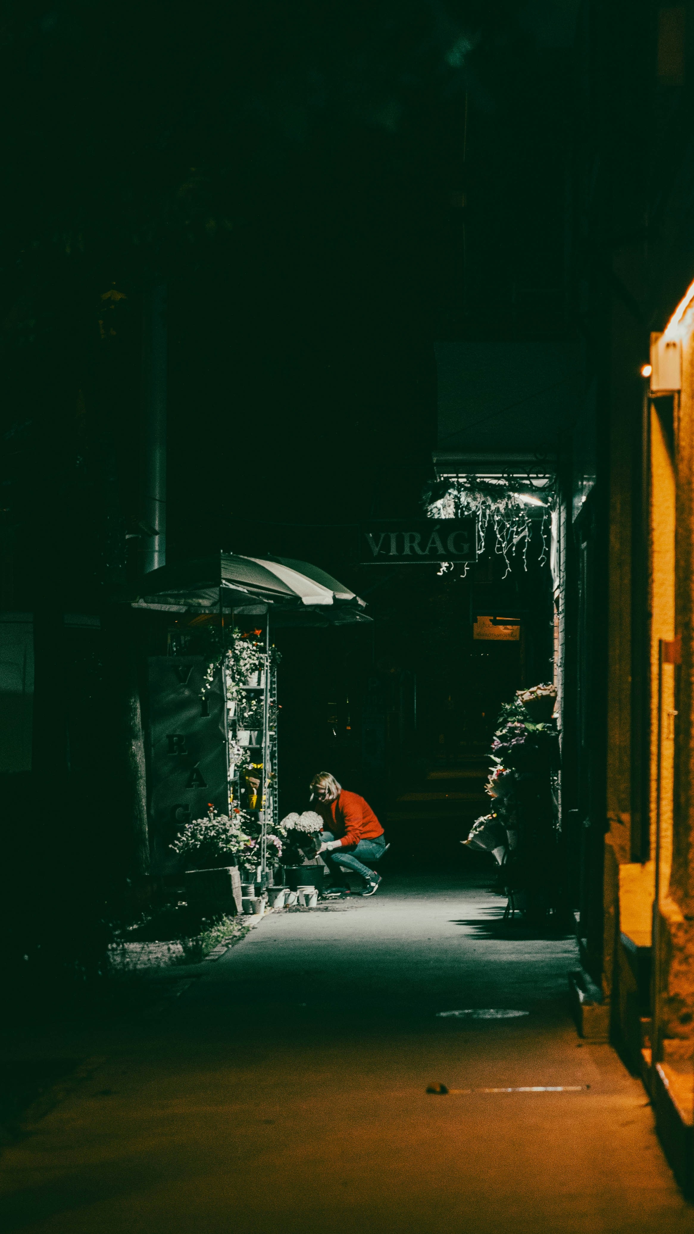 Photo by thesyberian