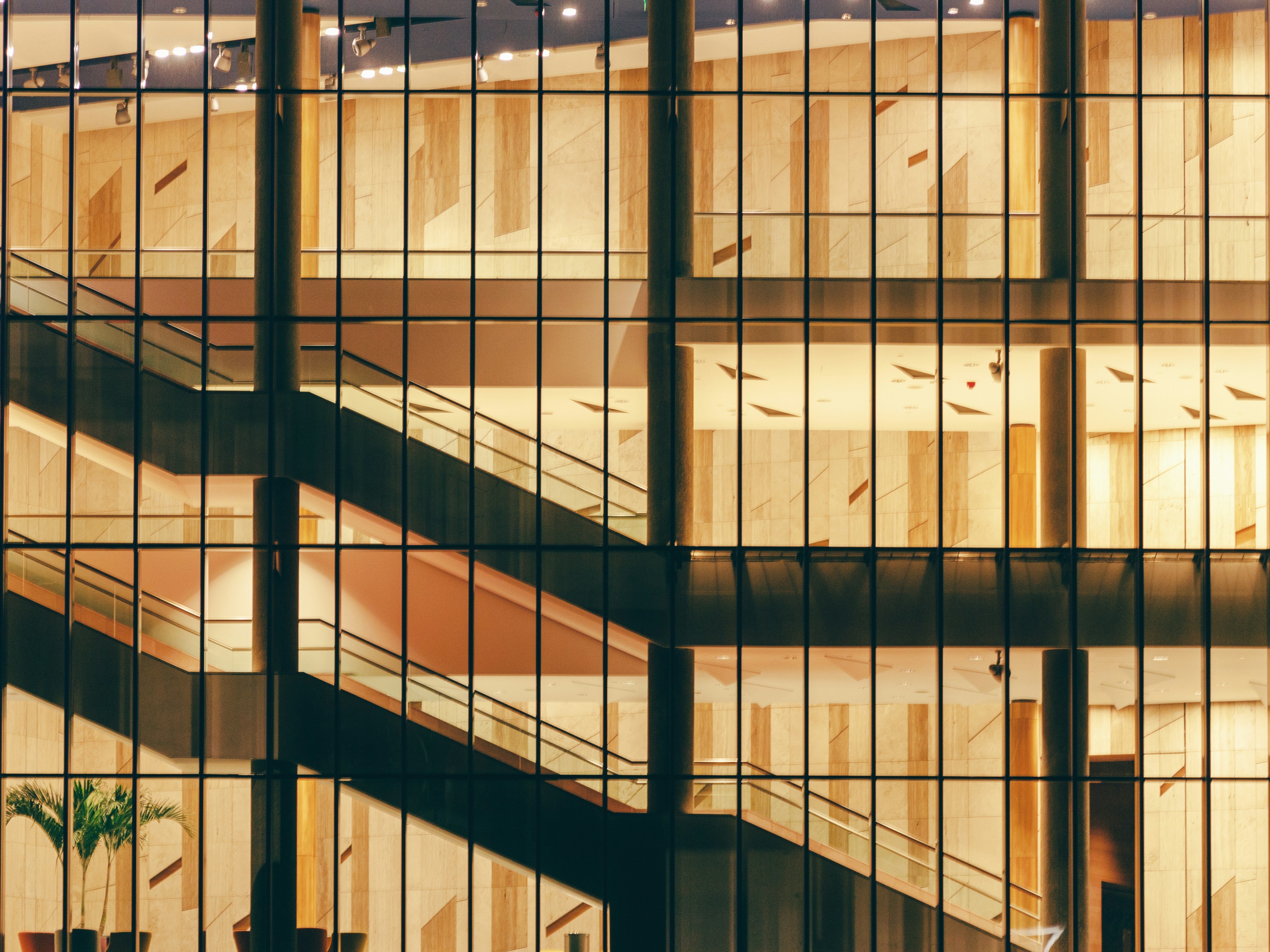 Photo by thesyberian