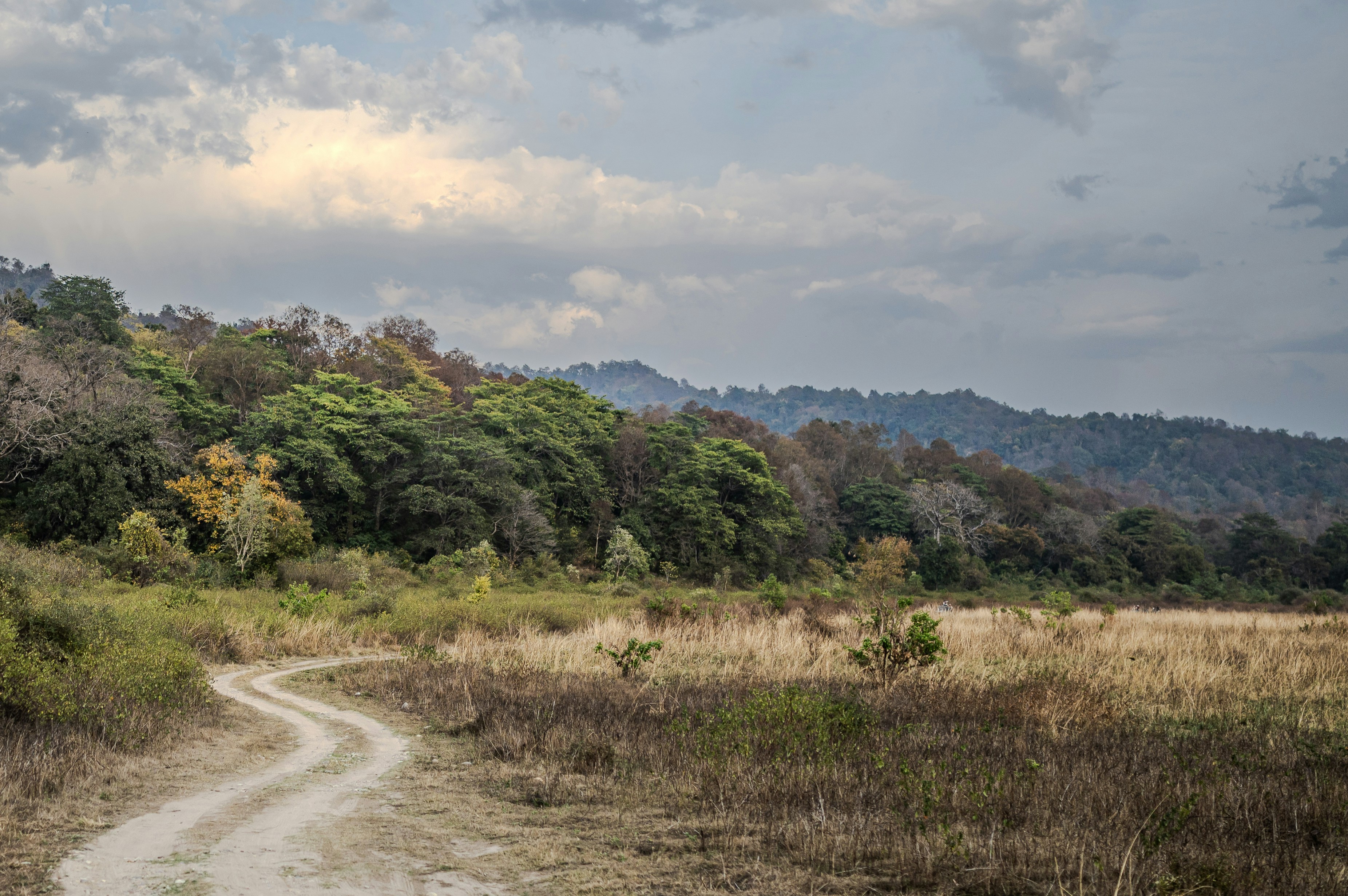 Photo by phoenix_2022