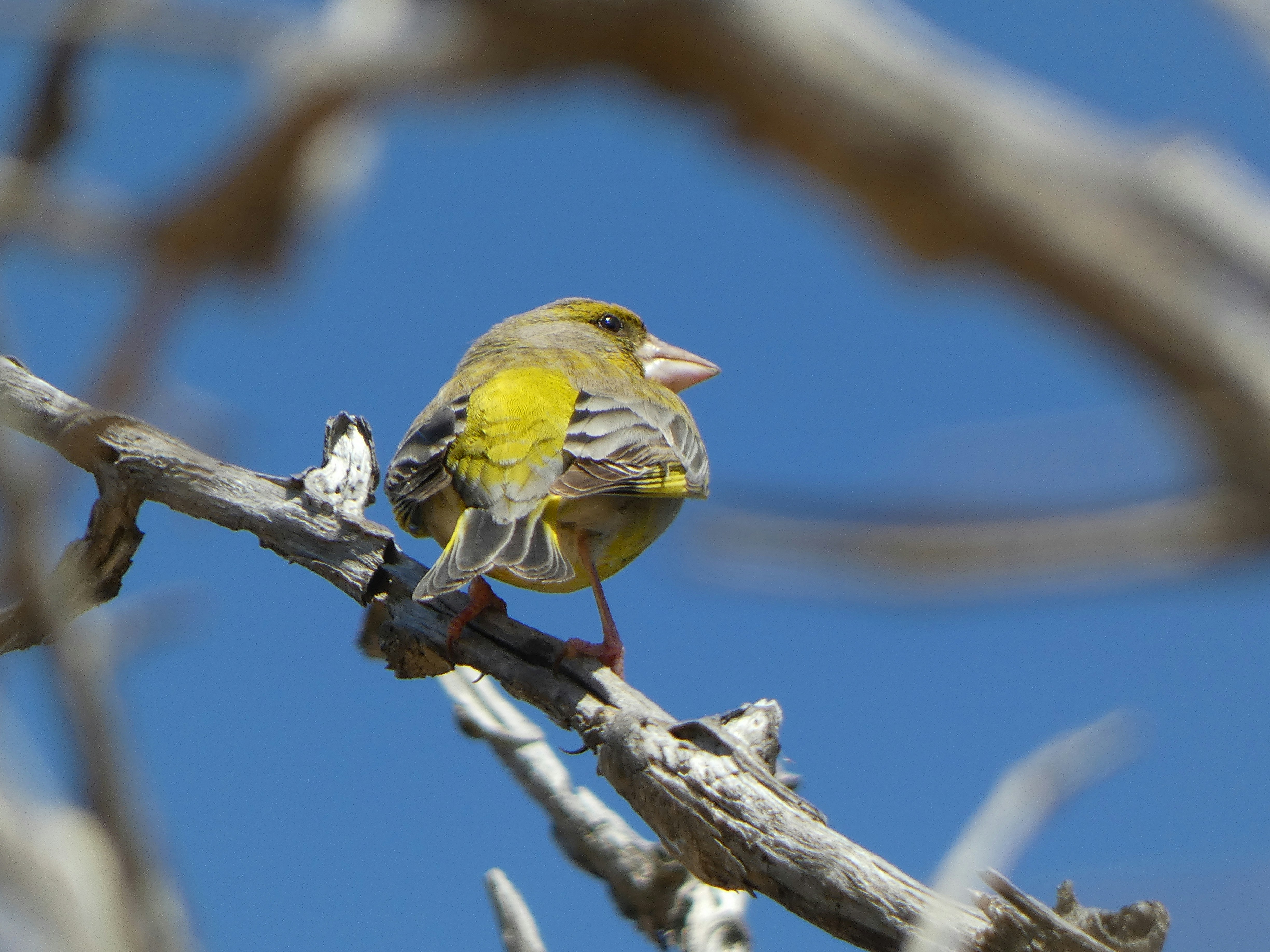 Photo by onderandinc