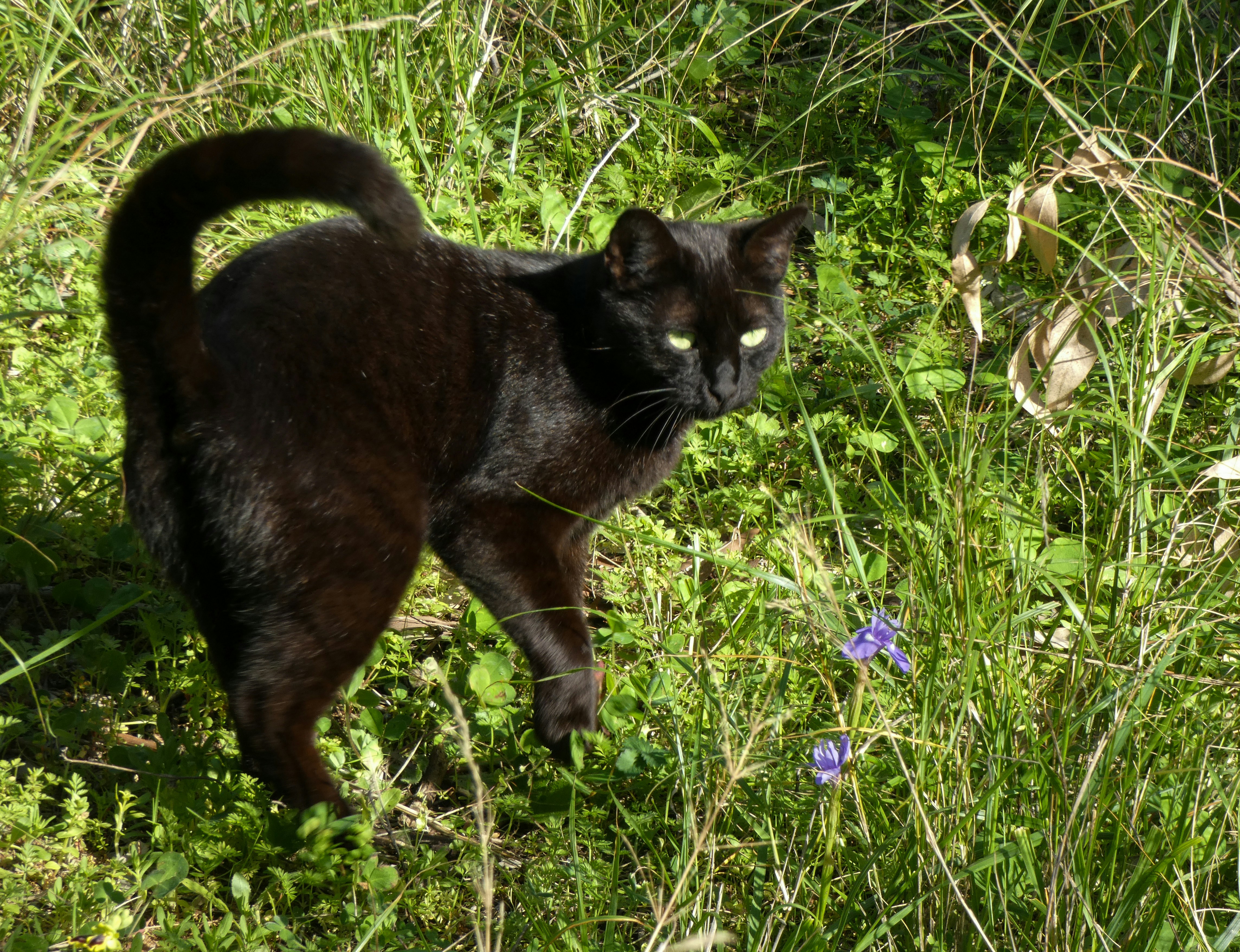 Photo by onderandinc