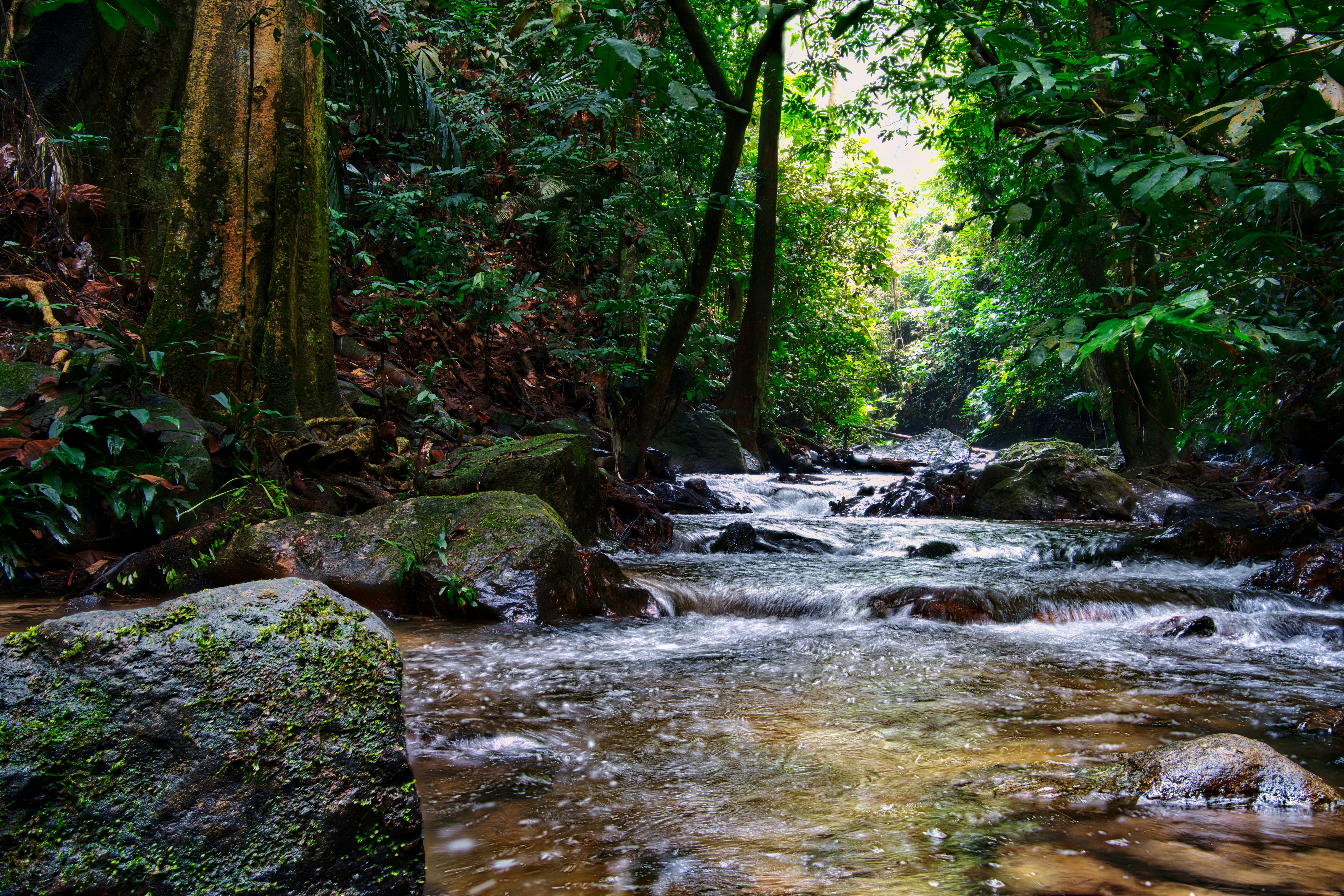 Photo by dannywildwarden