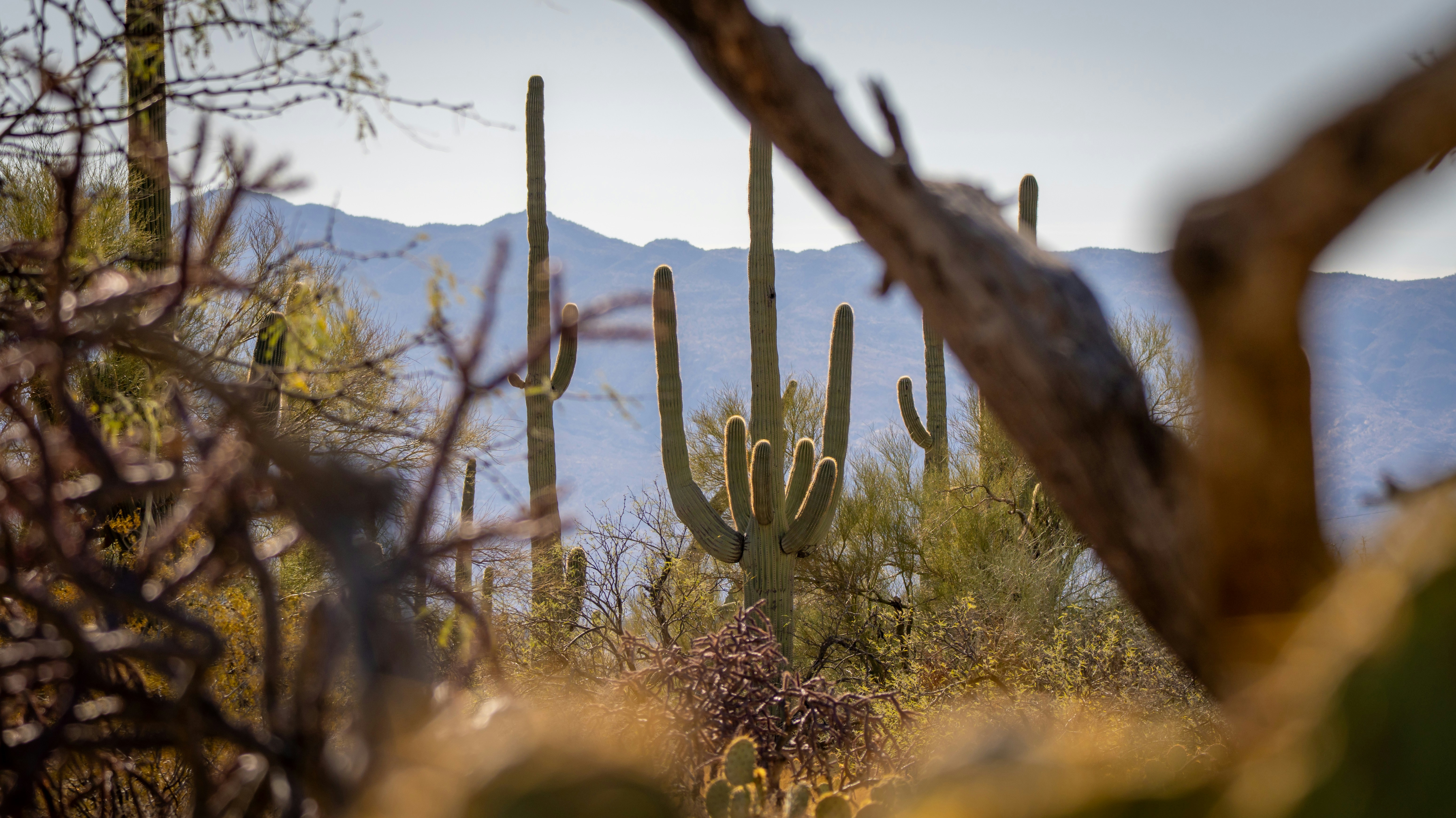 Photo by jcnonstop87