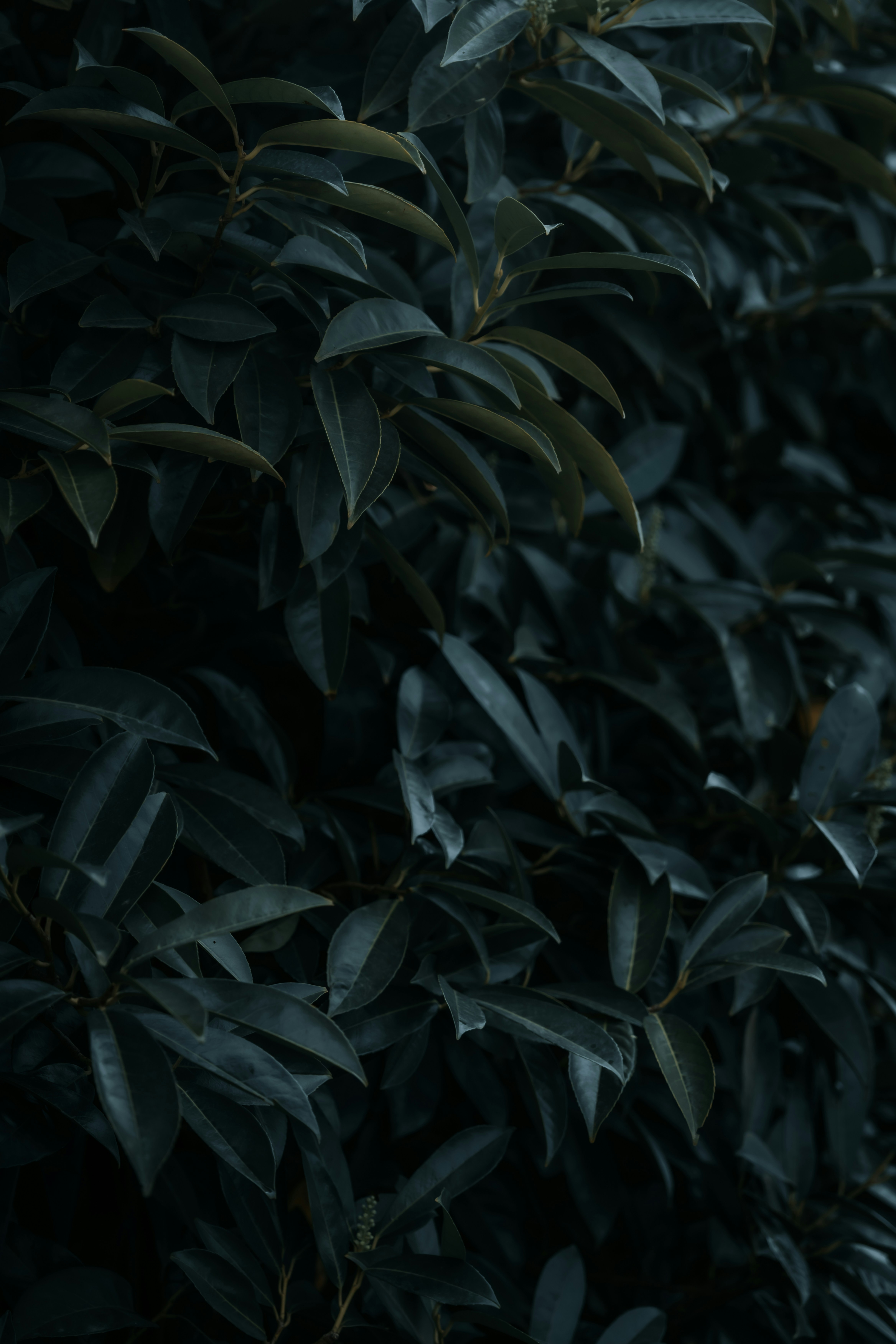 Photo by jonah_loeffler