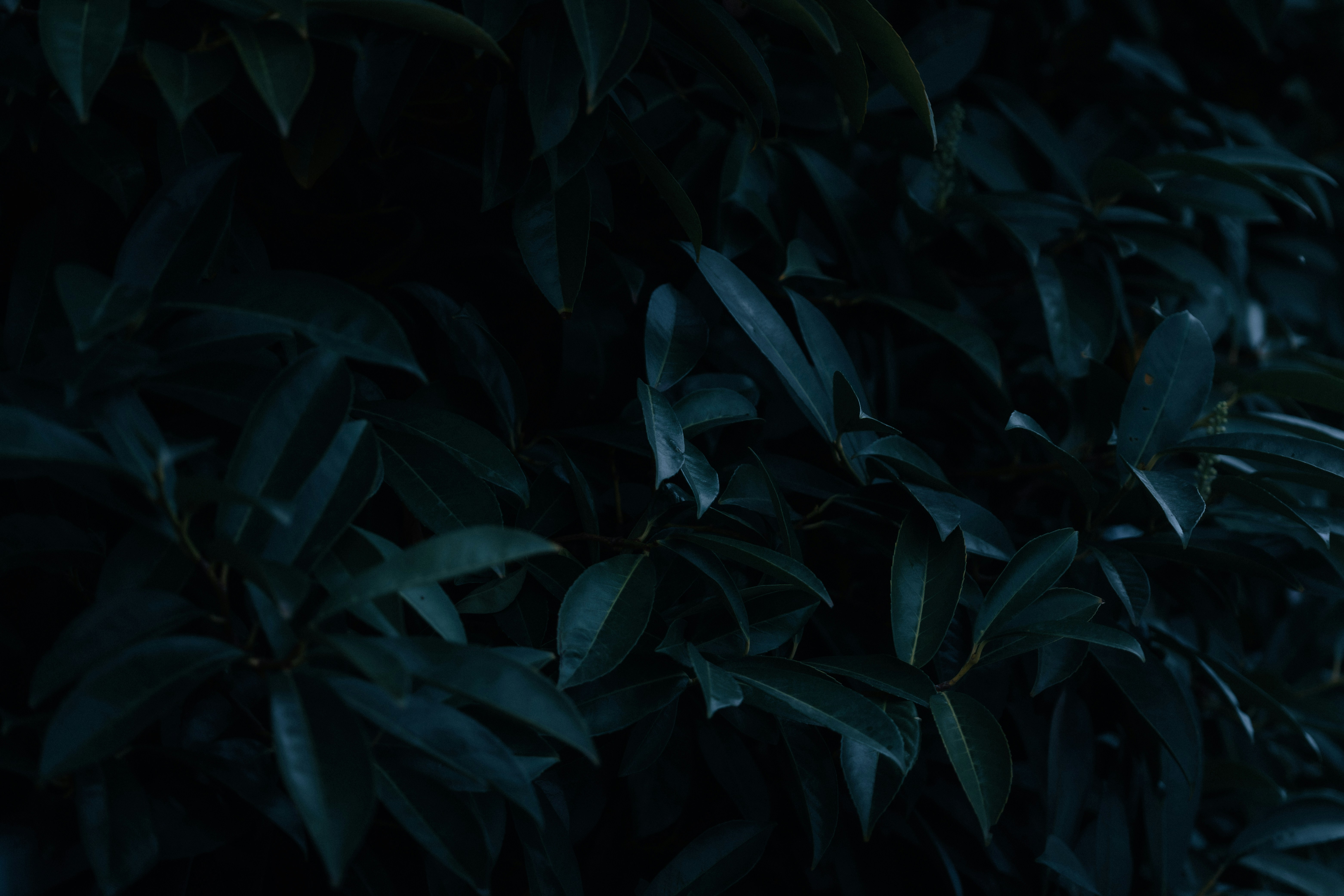 Photo by jonah_loeffler