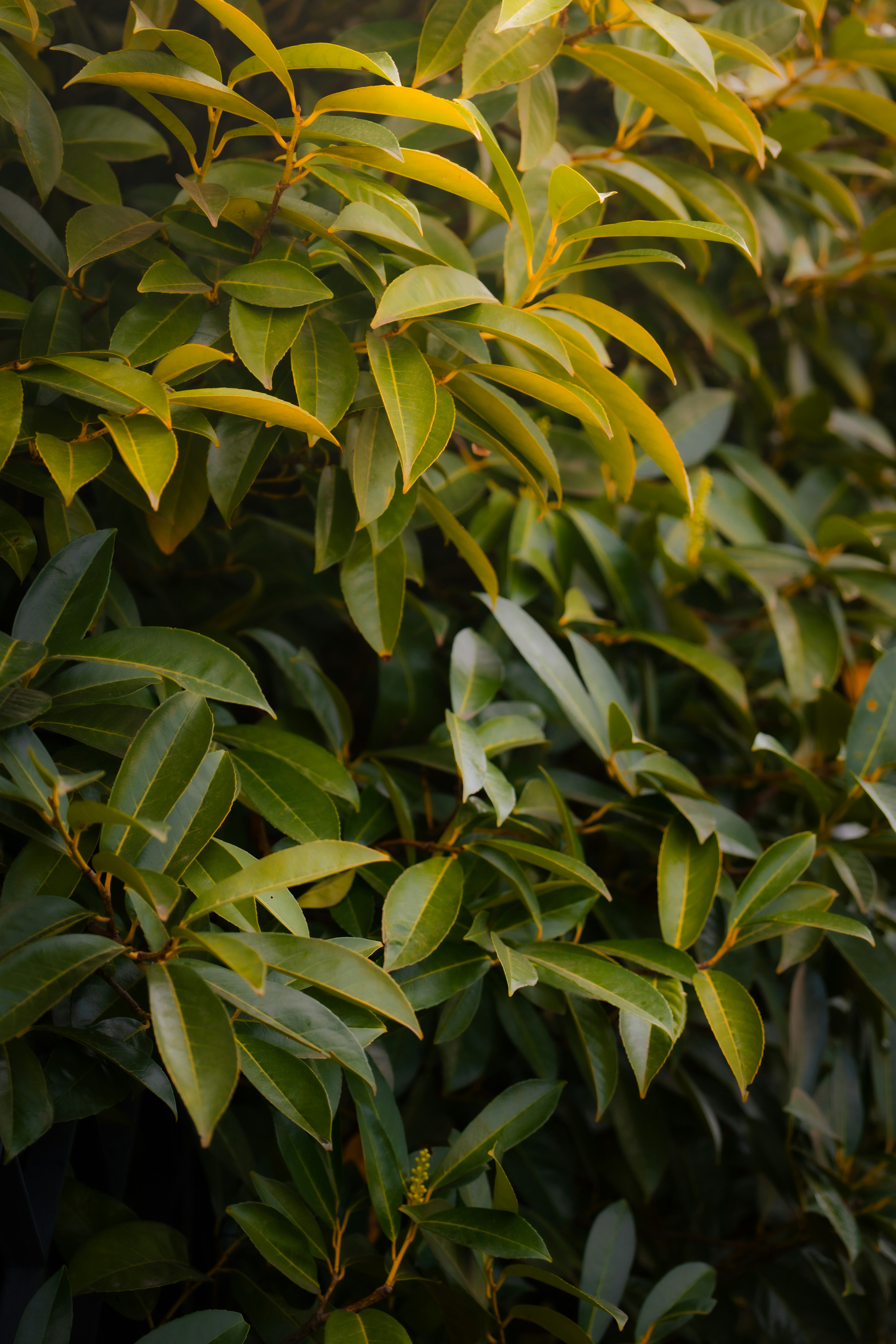 Photo by jonah_loeffler