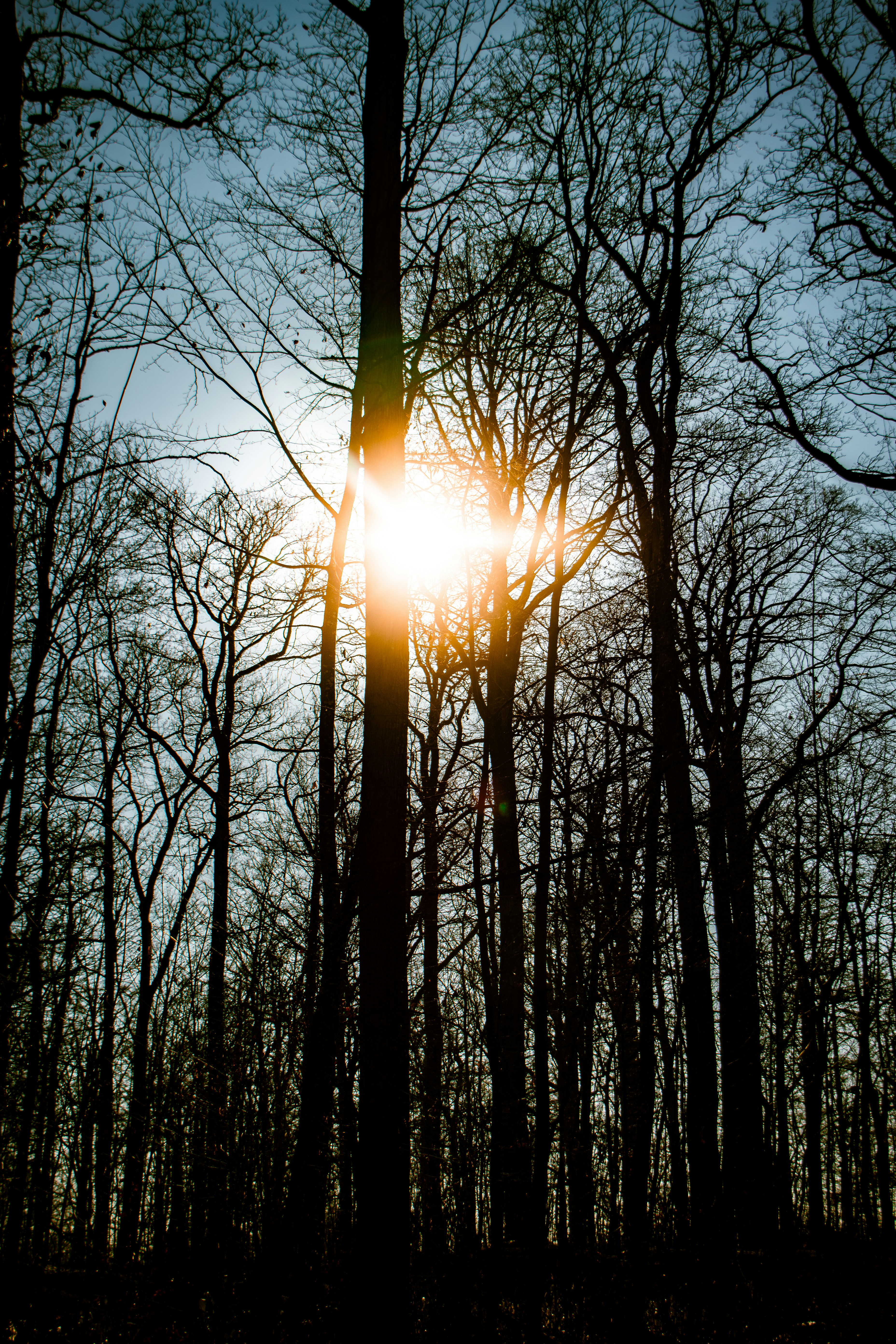 Photo by esmeraldheqimaj