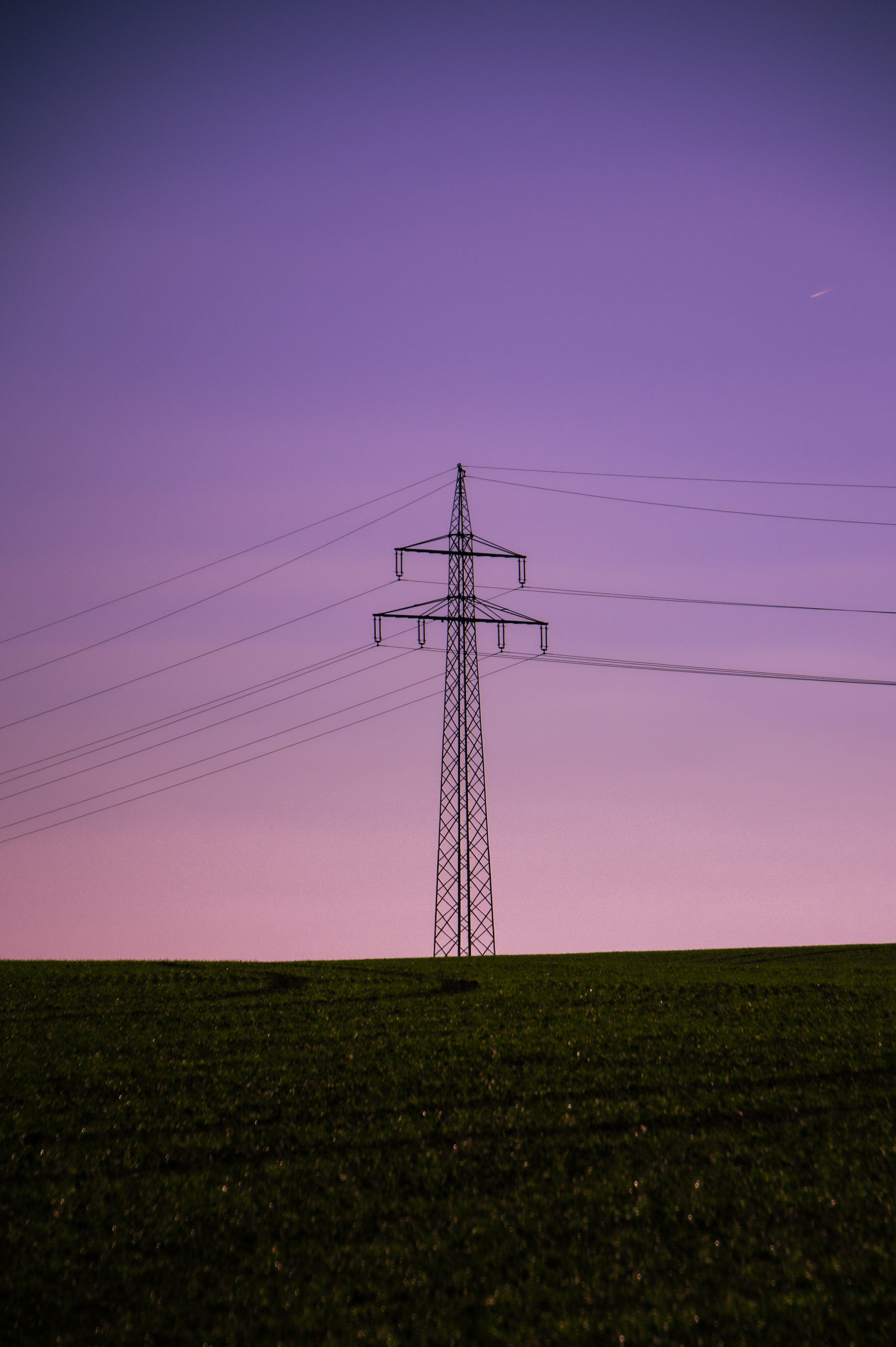 Power lines tower against a purple sky
