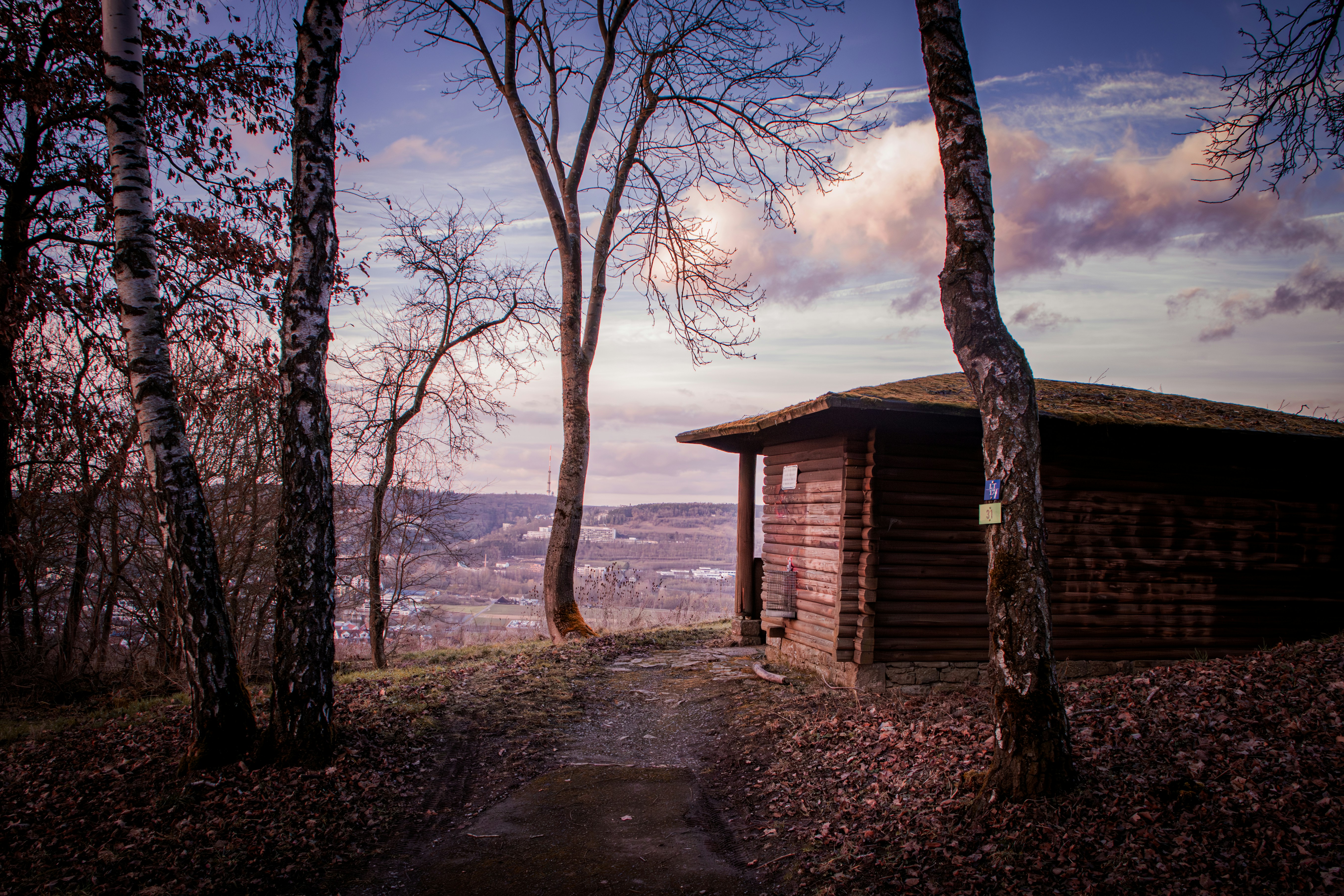 A small wooden cabin stands amidst trees
