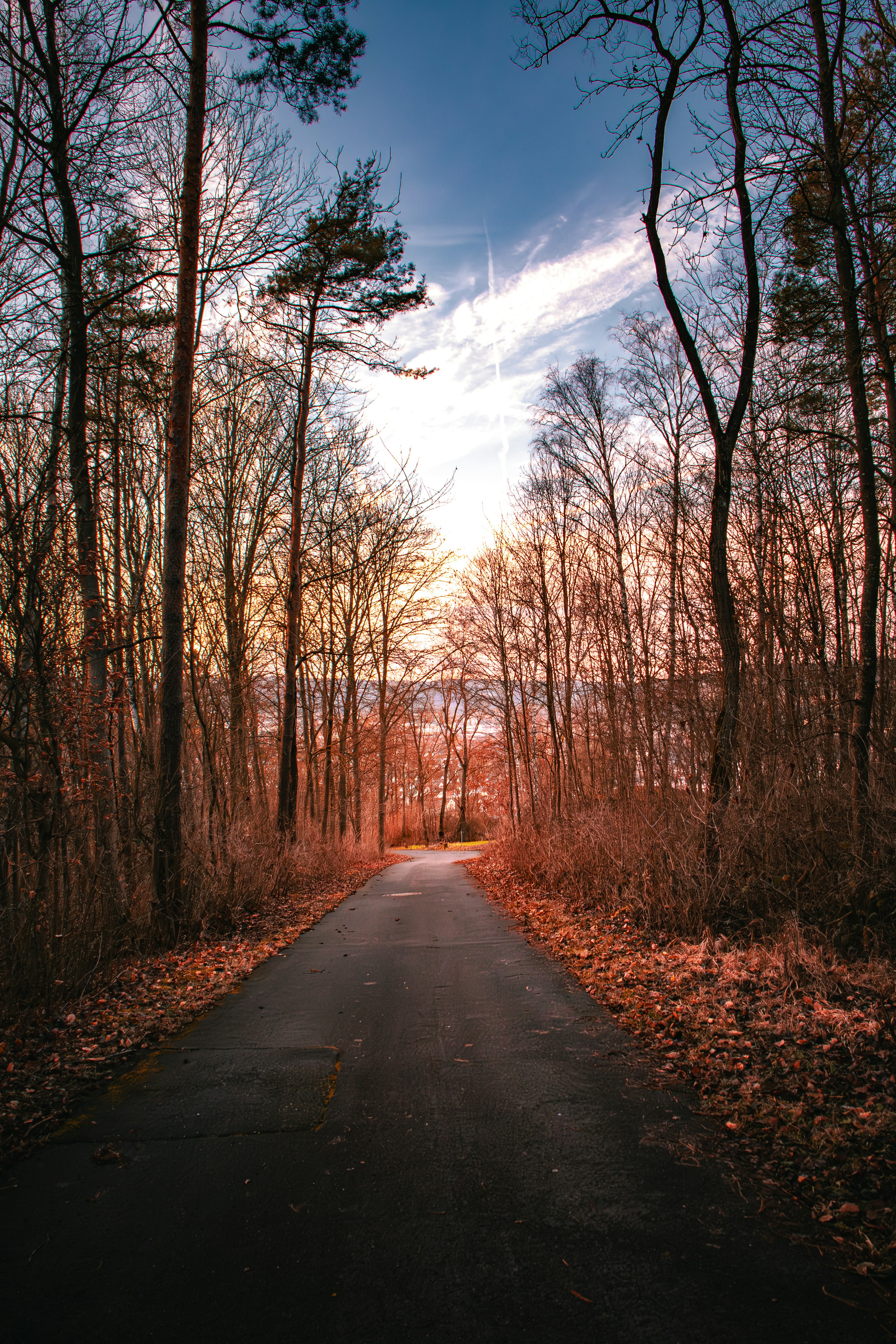 Photo by esmeraldheqimaj