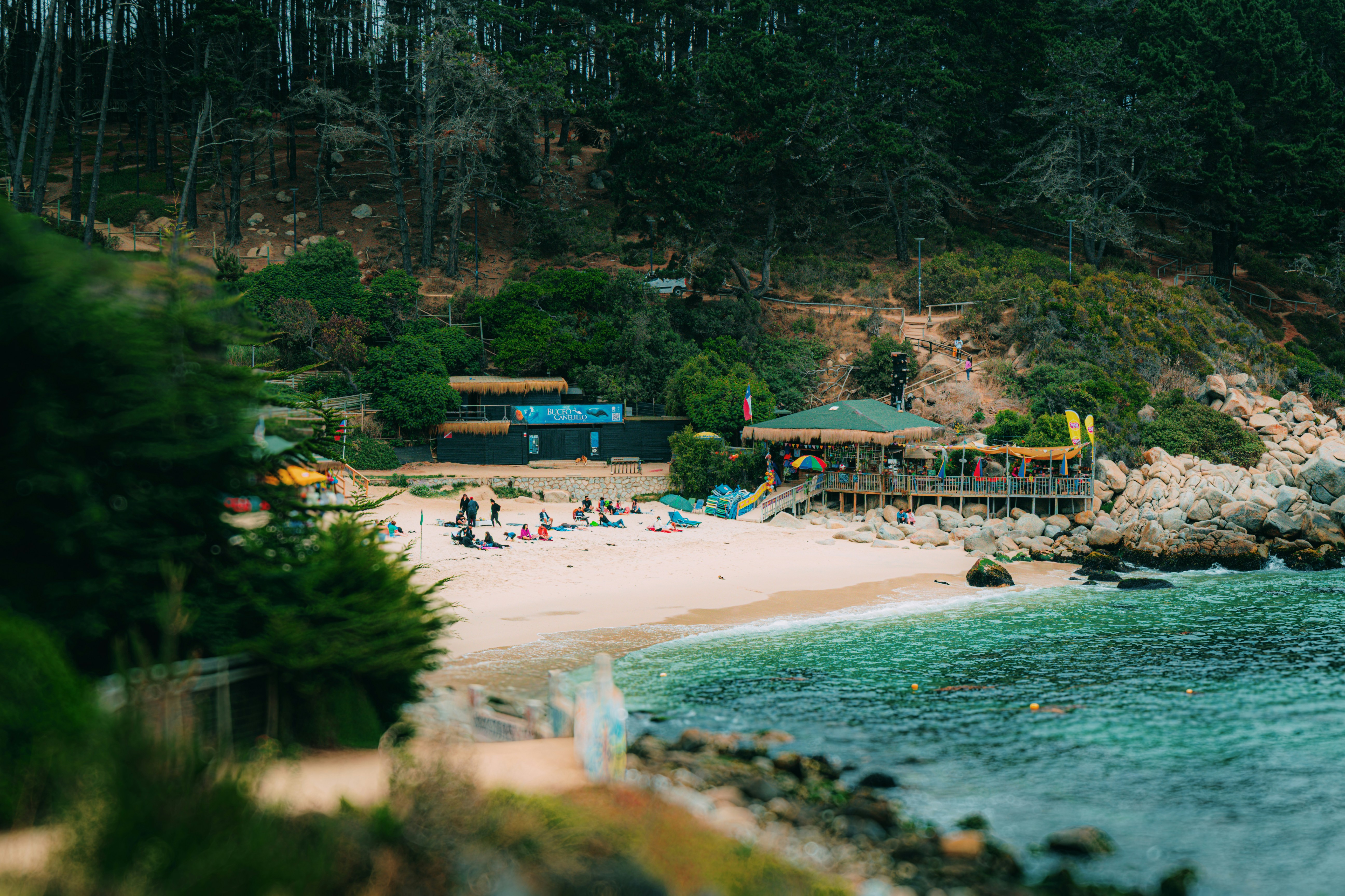 A scenic beach with buildings and forest.