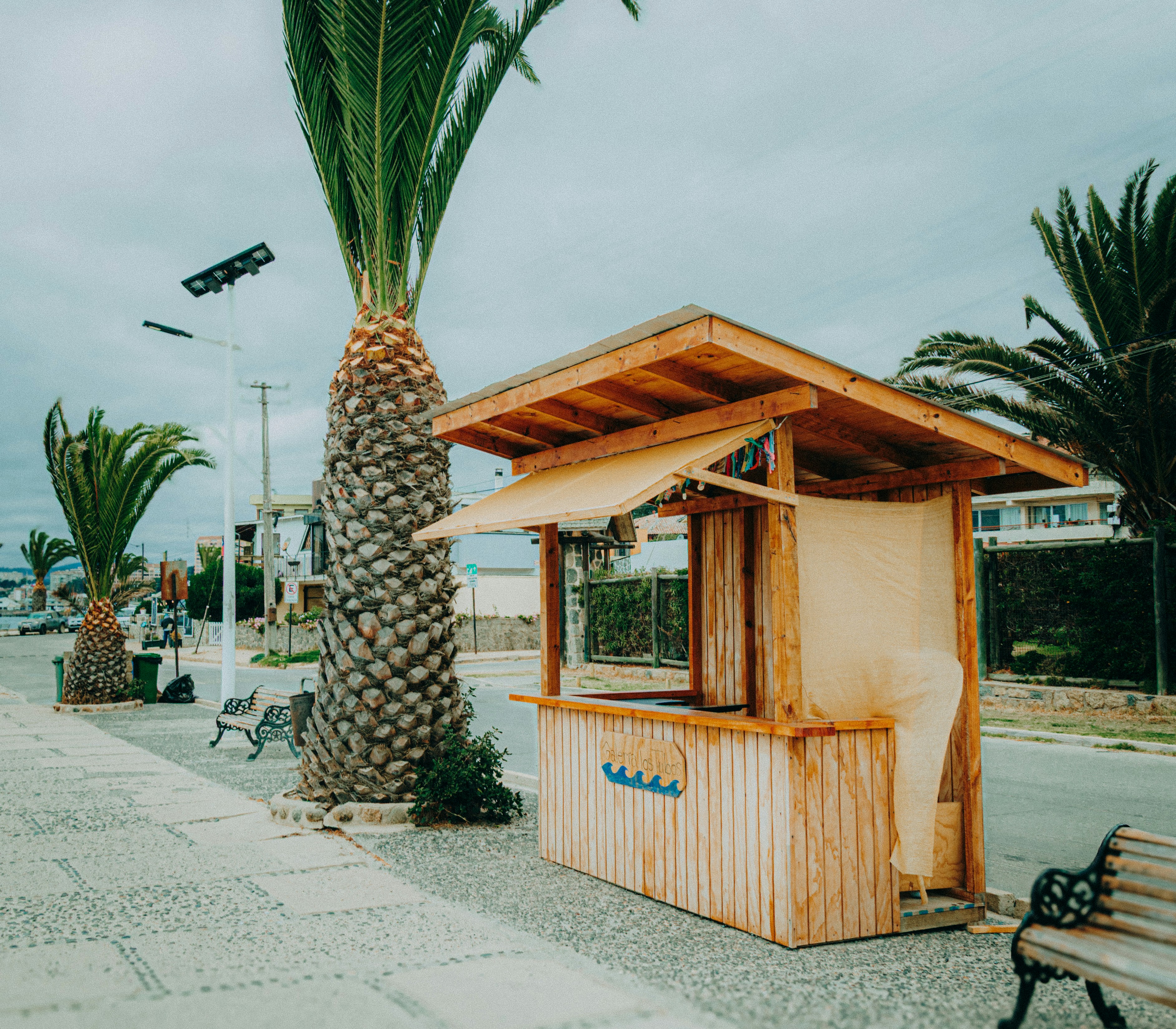 A beachside kiosk stands beside palm trees.