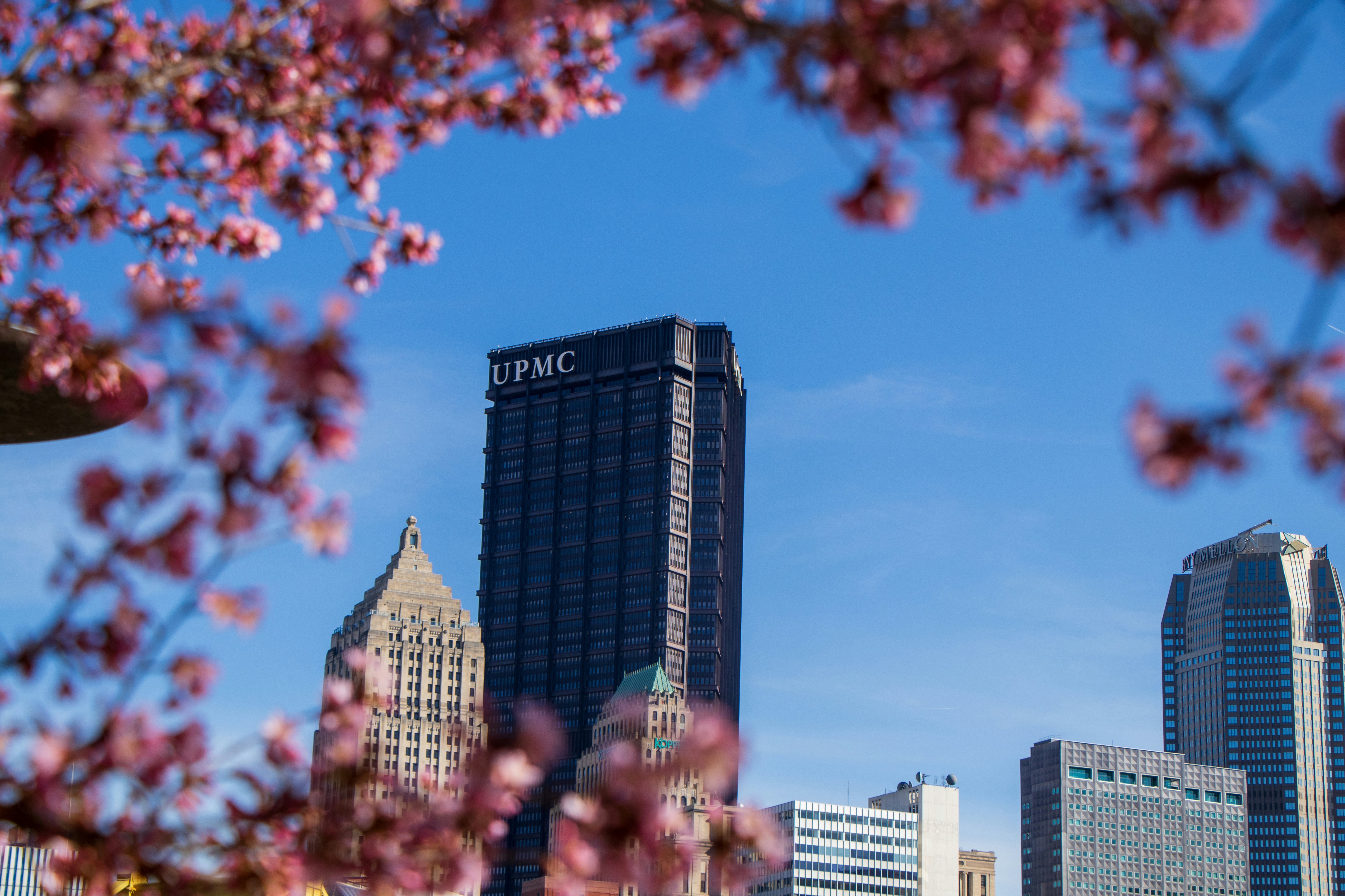 City skyline framed by pink cherry blossoms.