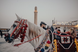 A decorated horse stands with a religious structure.