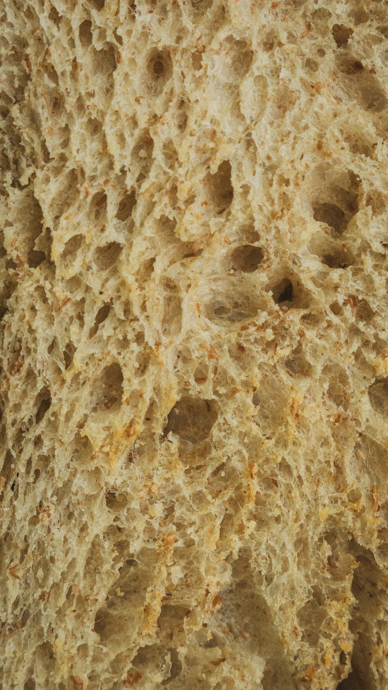The open crumb of a cut loaf, holes and all, filling the whole frame