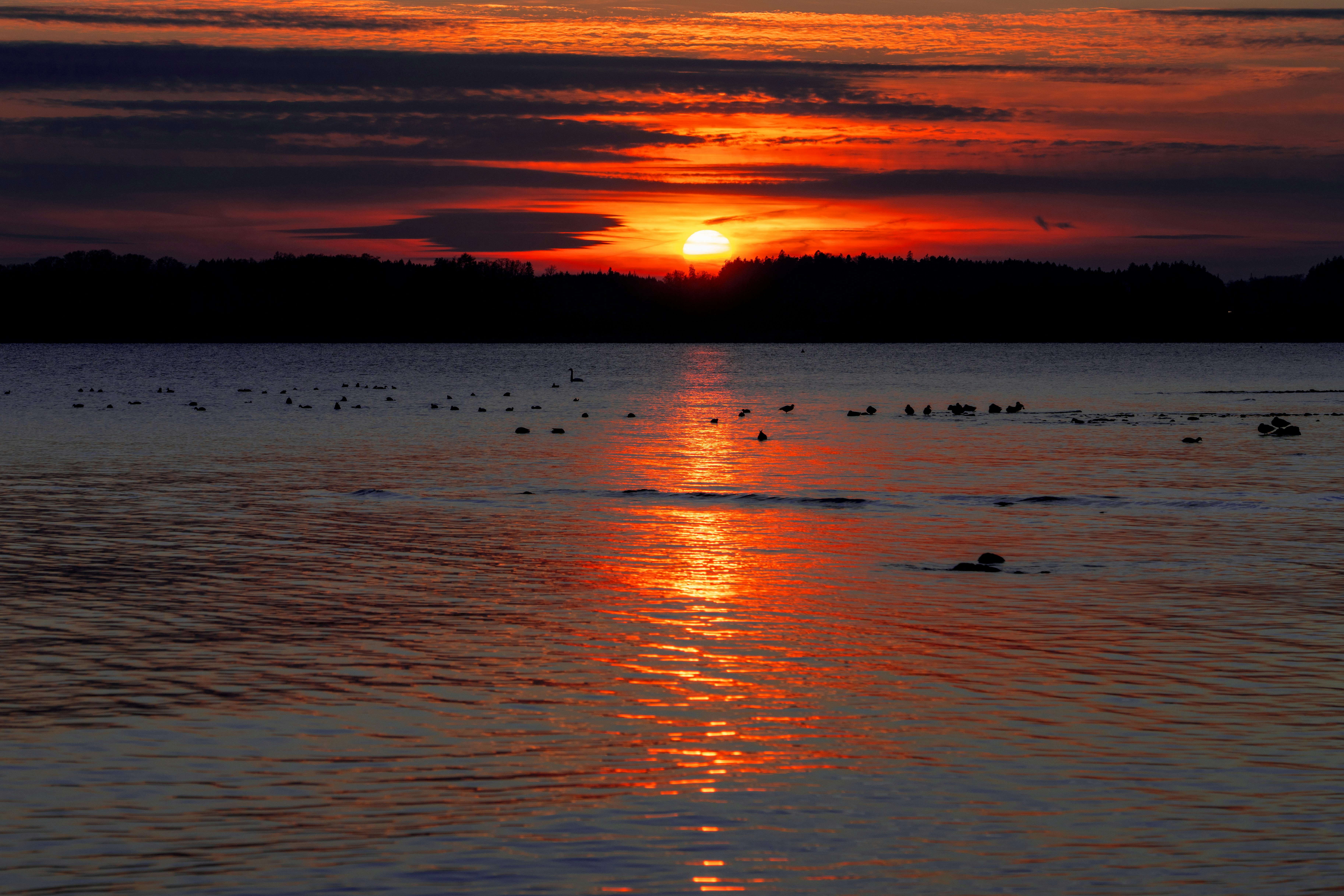 Photo by picture_scape