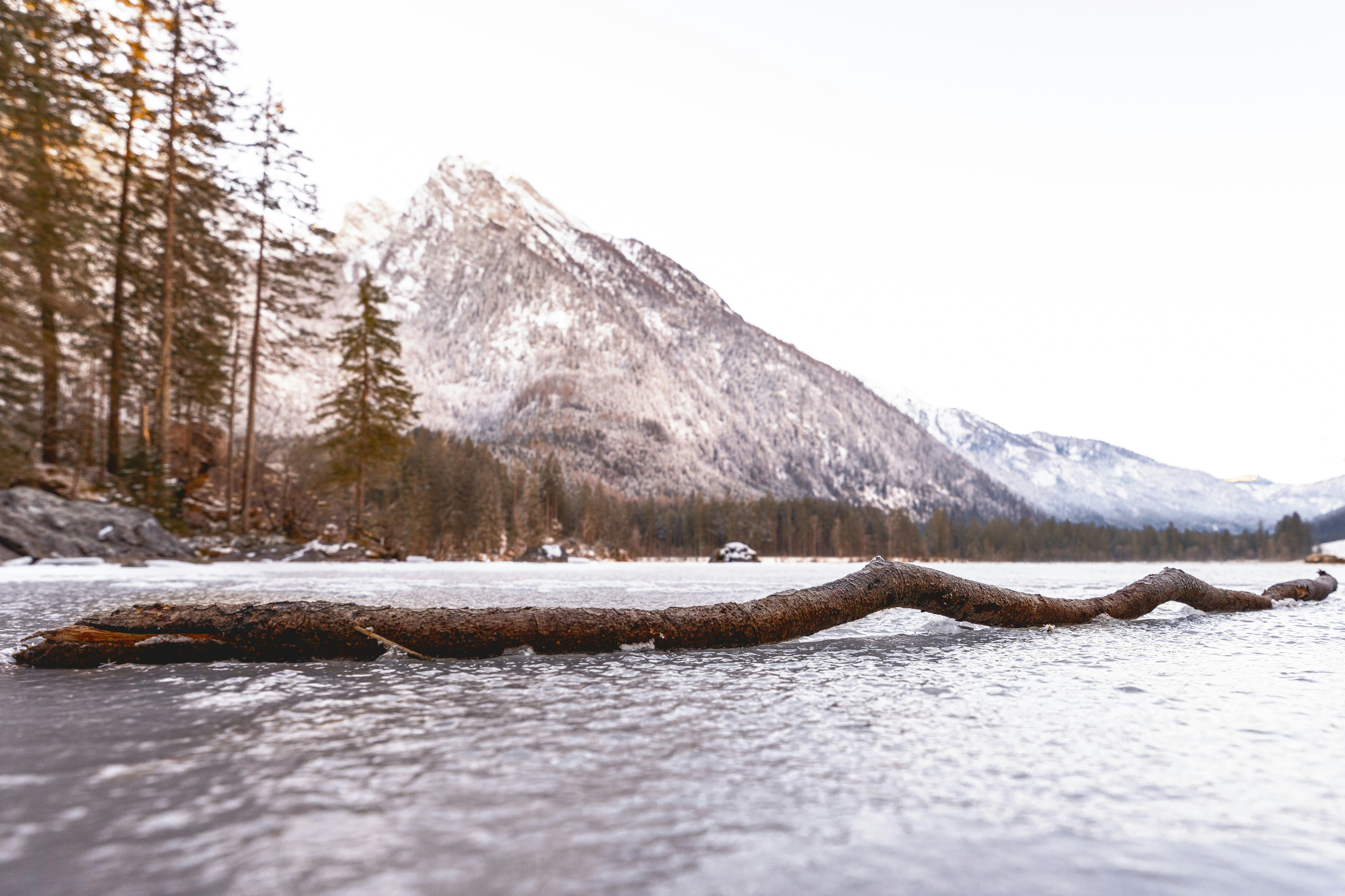 Log floats on frozen lake with mountain backdrop.
