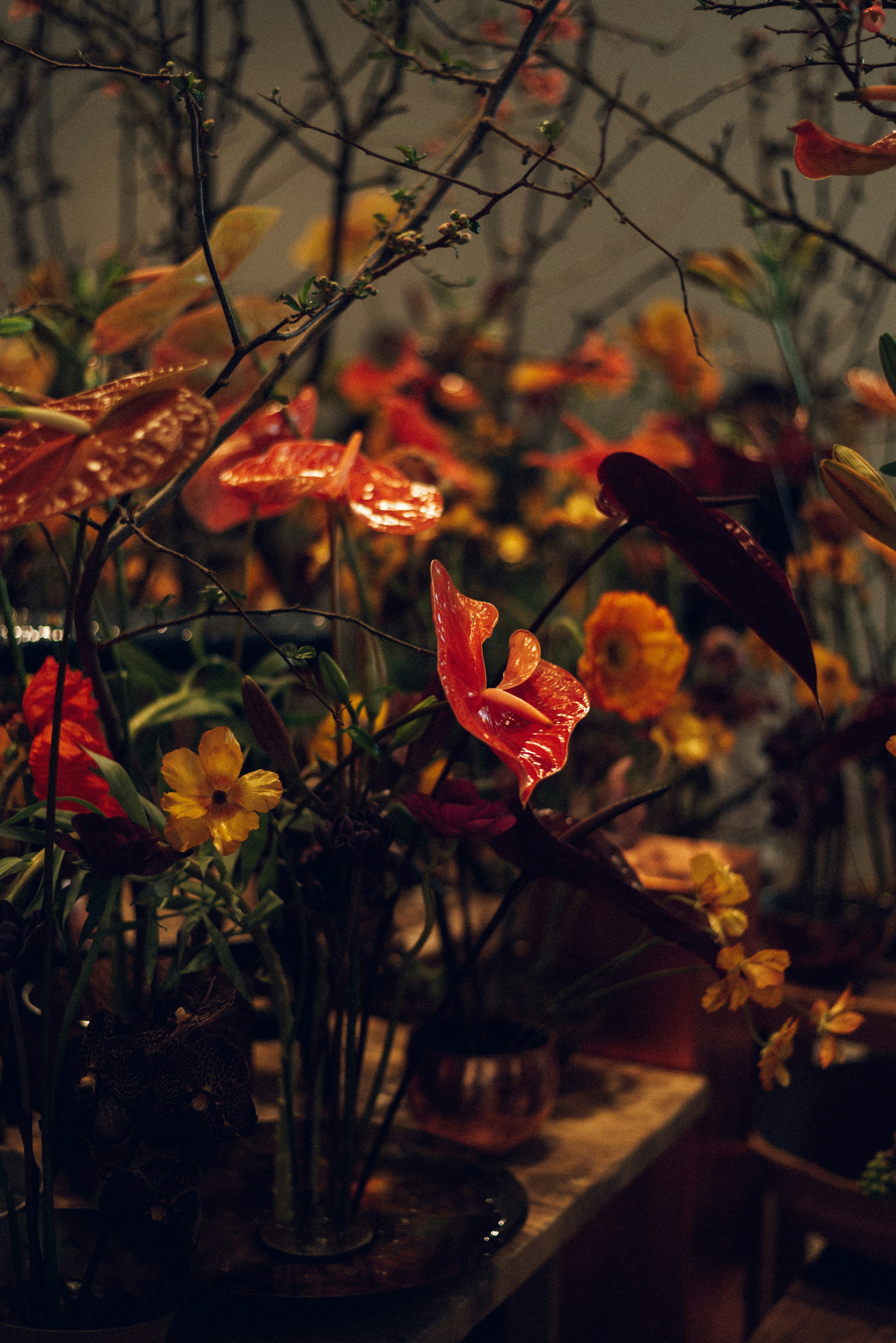 Photo by krykhitka_photo