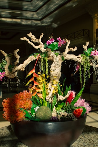 Heliconia and bird of paradise