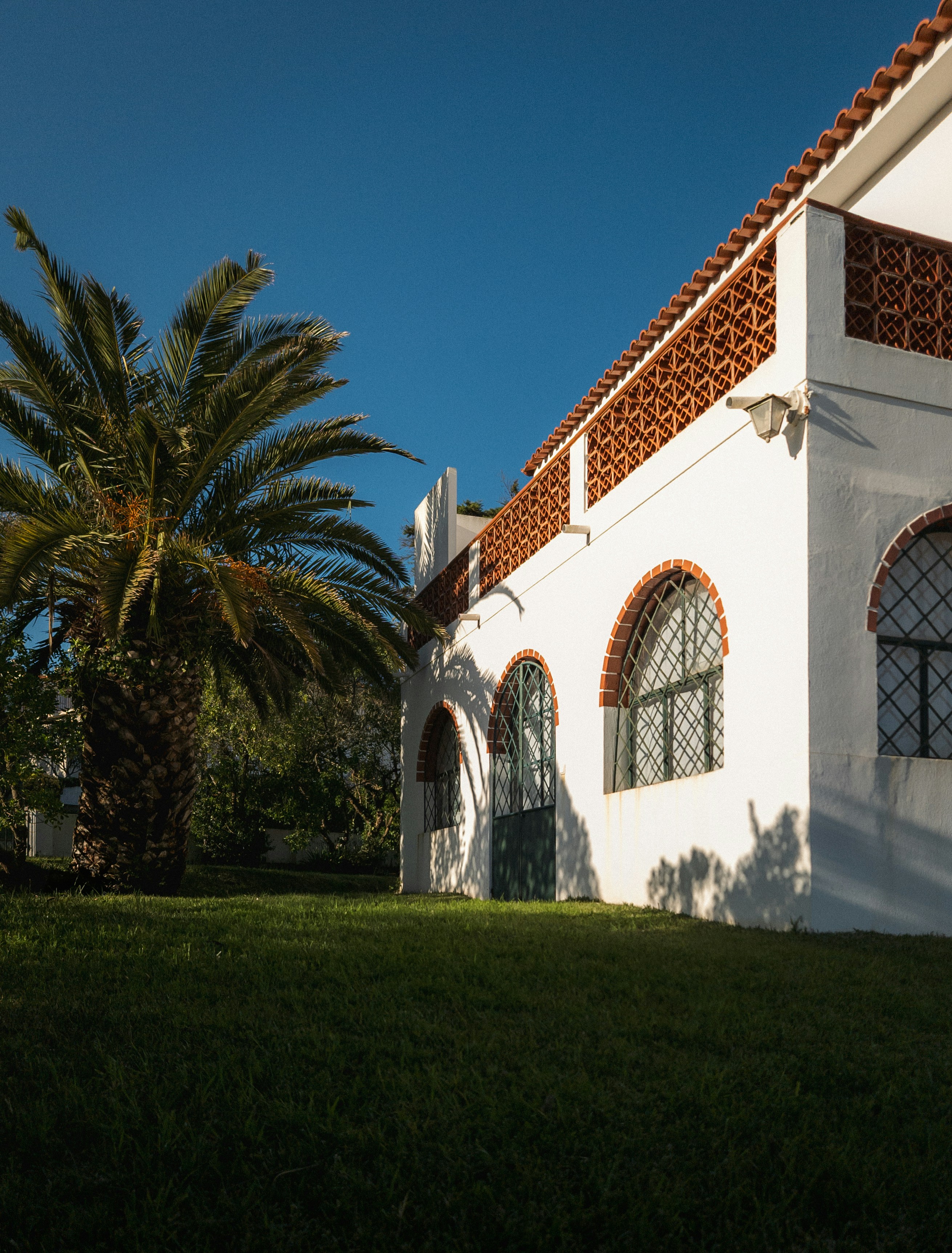 Photo by damian_ochrymowicz