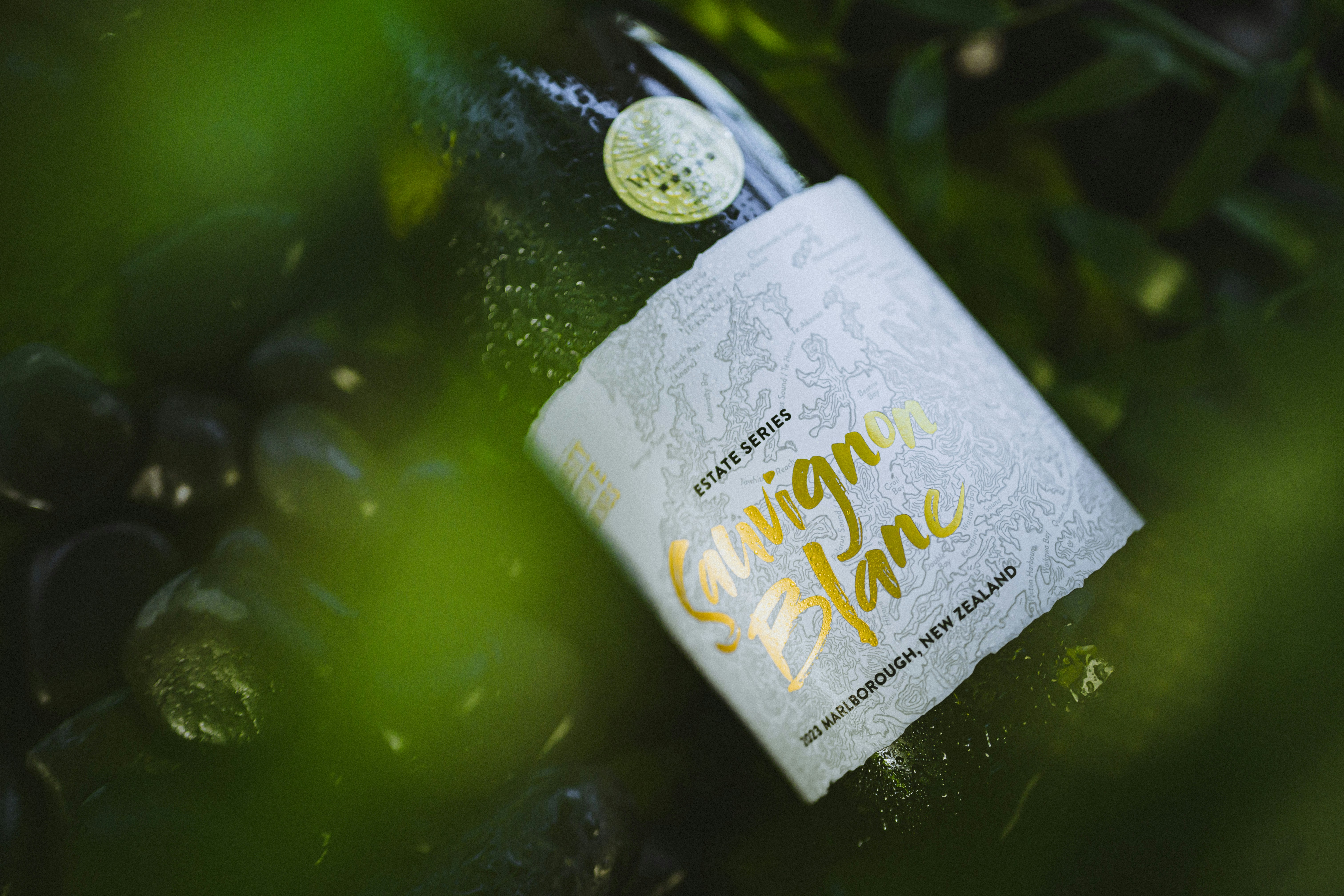 A bottle of sauvignon blanc is surrounded by greenery.