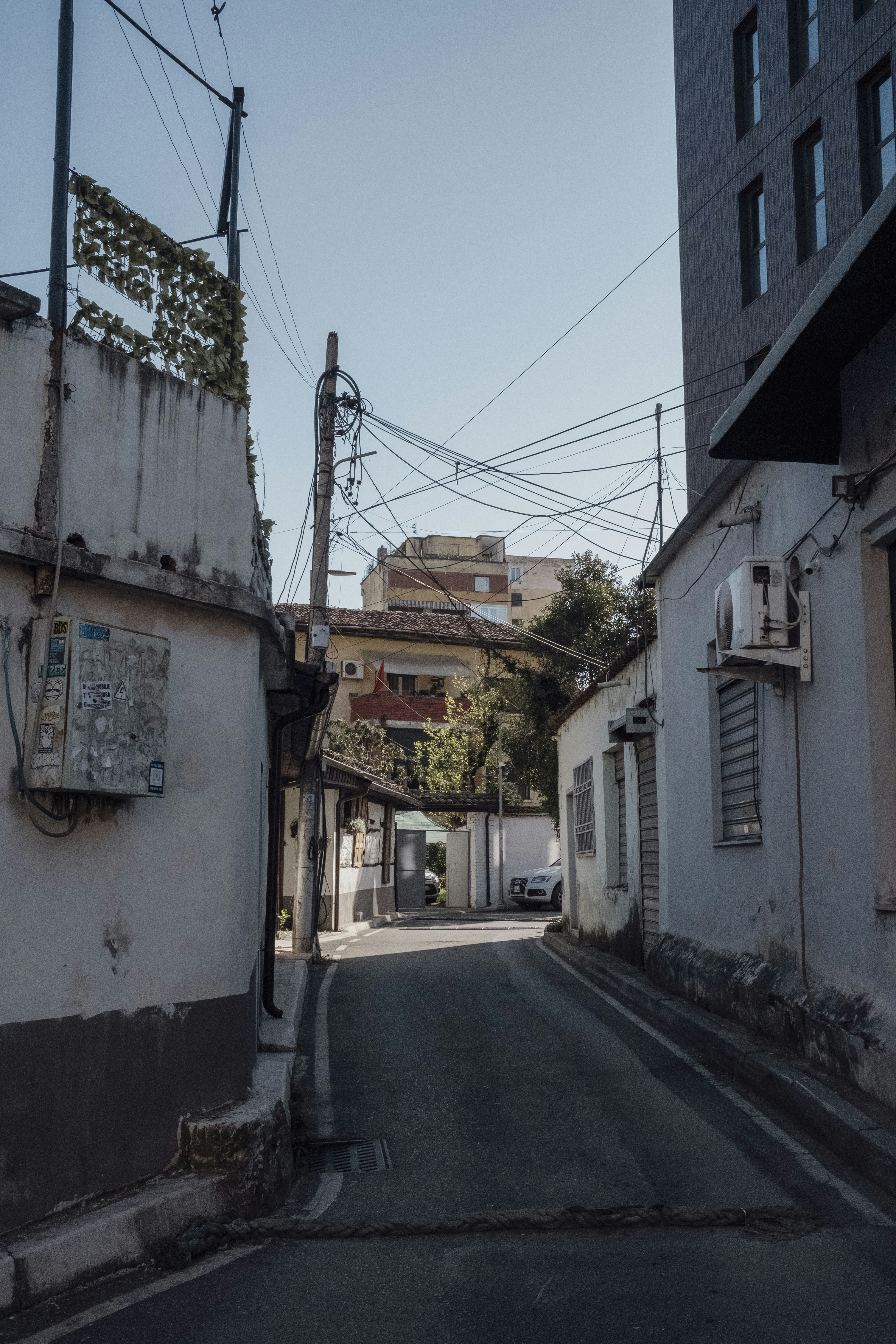 Photo by hvidkanin89