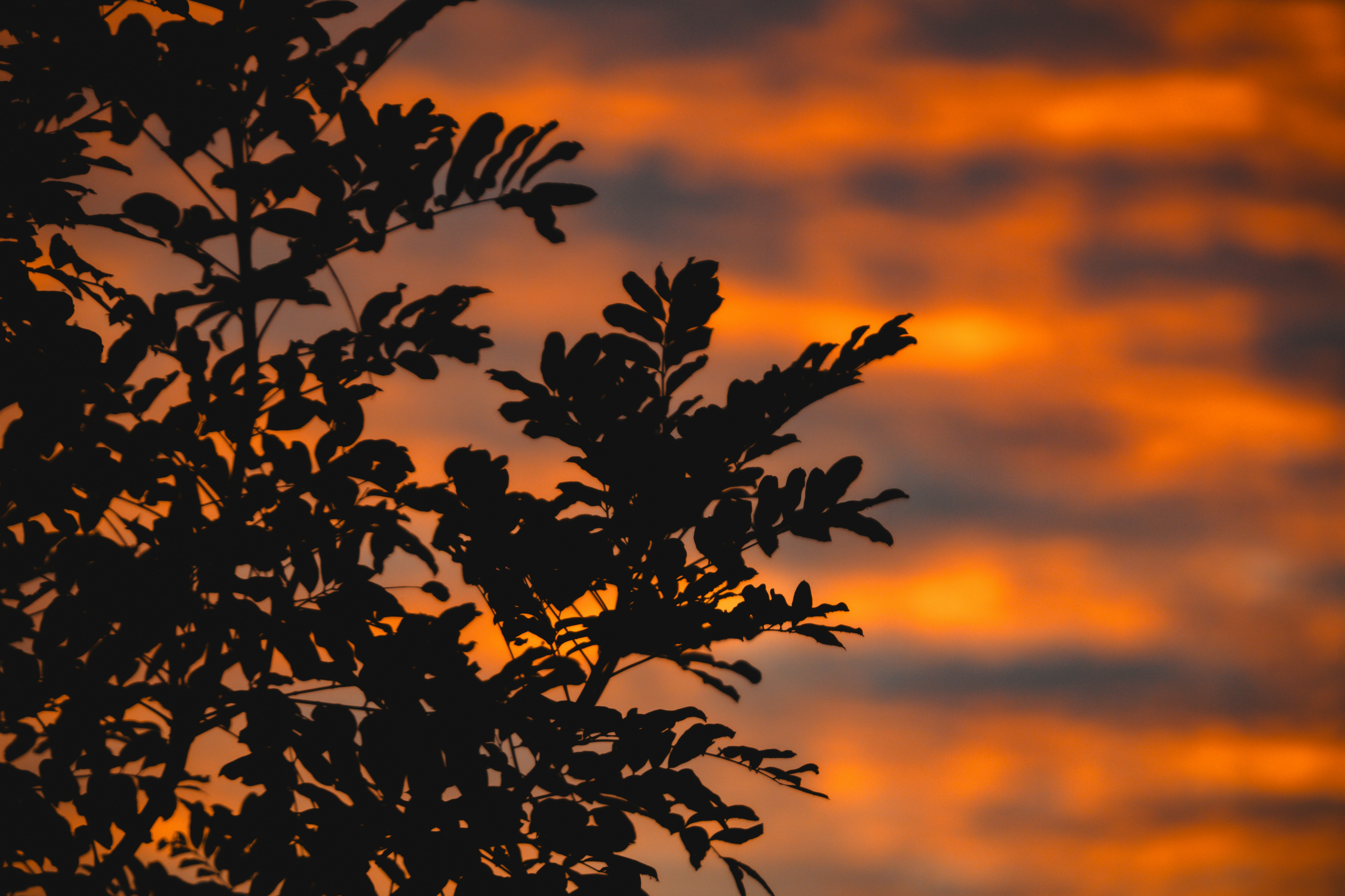 Photo by chuchu123456