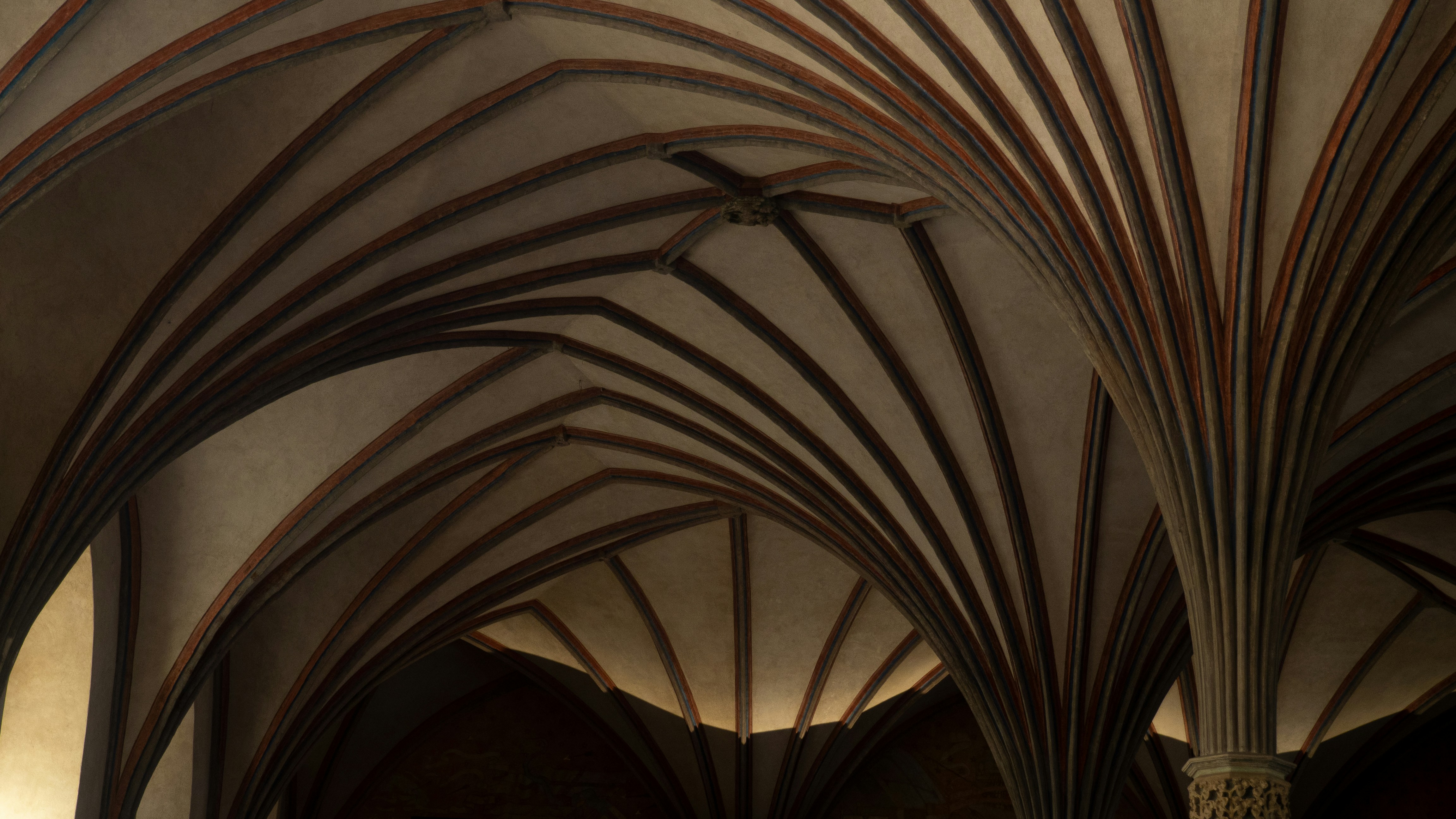 Arched ceiling with detailed architecture in view.