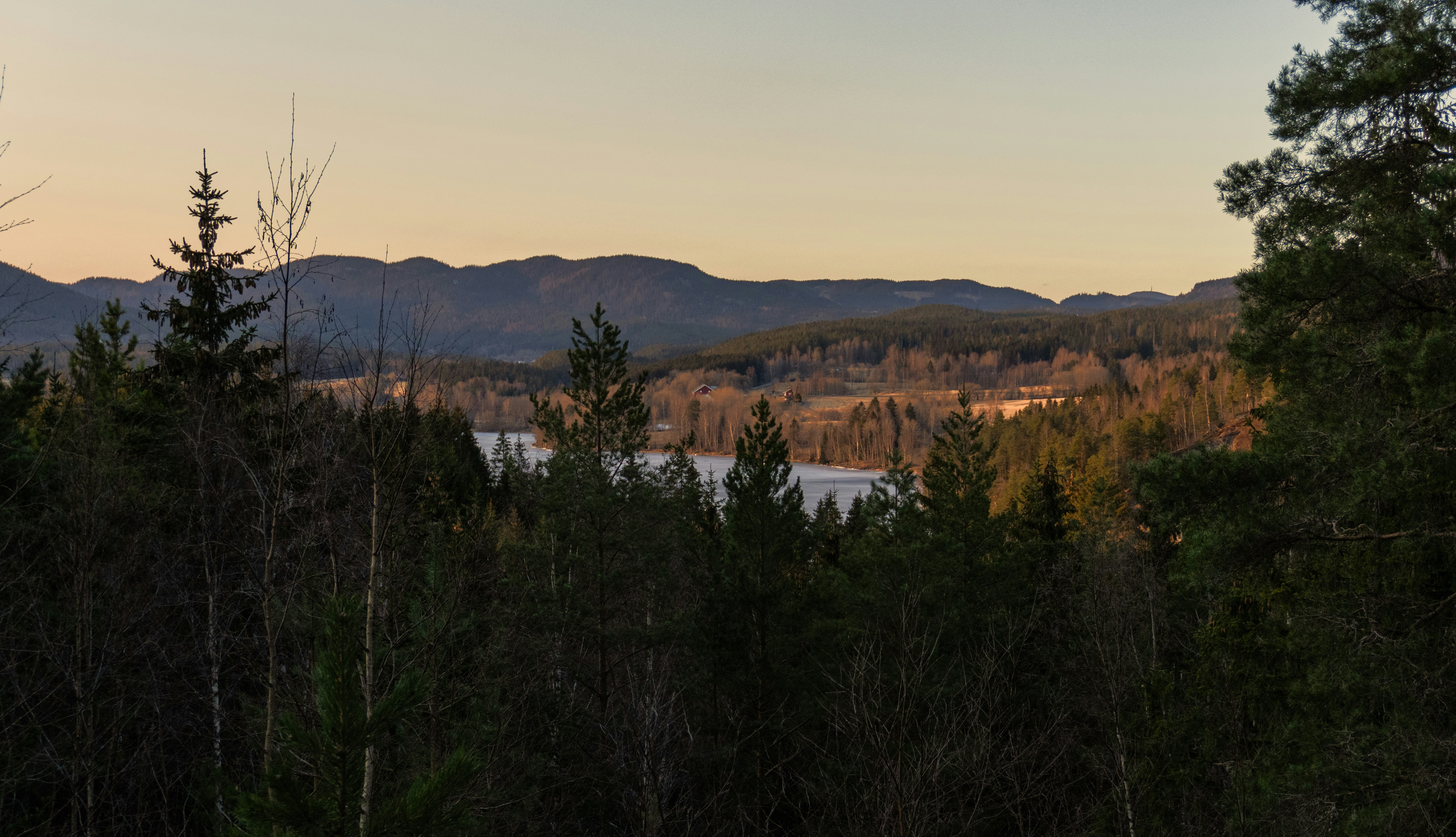 a market square with stalls selling pickles and existential dread