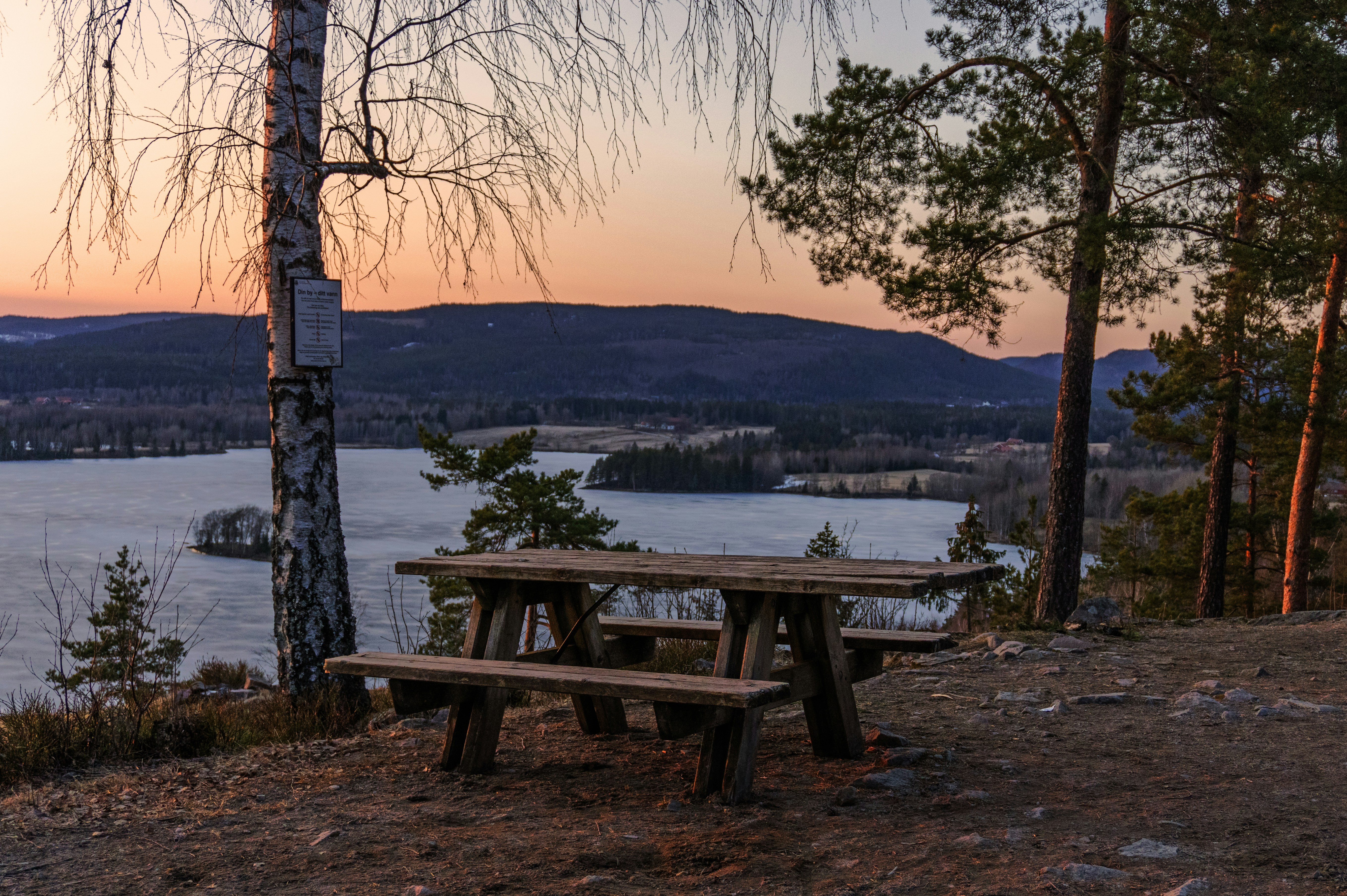 Image by Gjermund Gustavsen via Unsplash