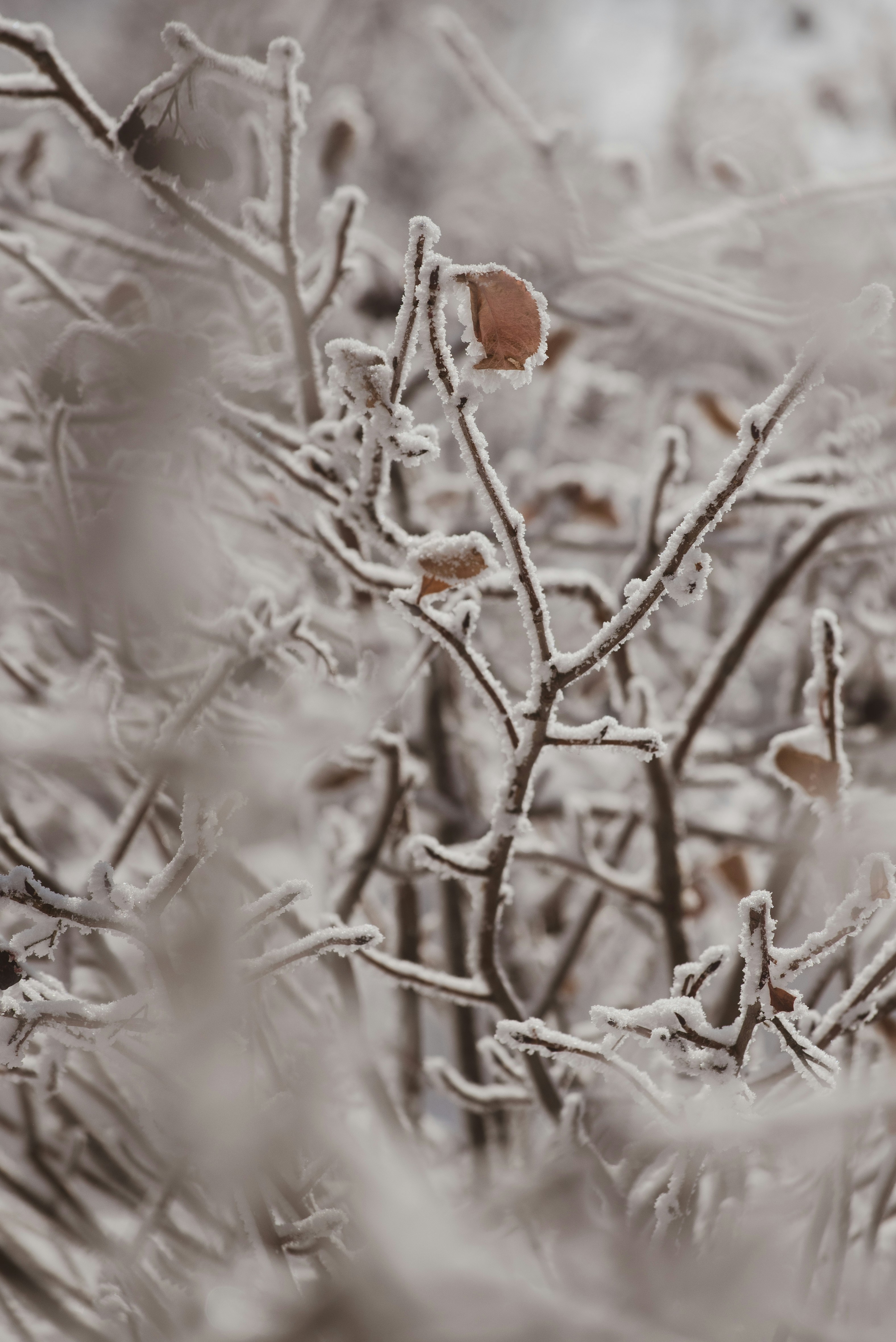 Photo by tayannphoto