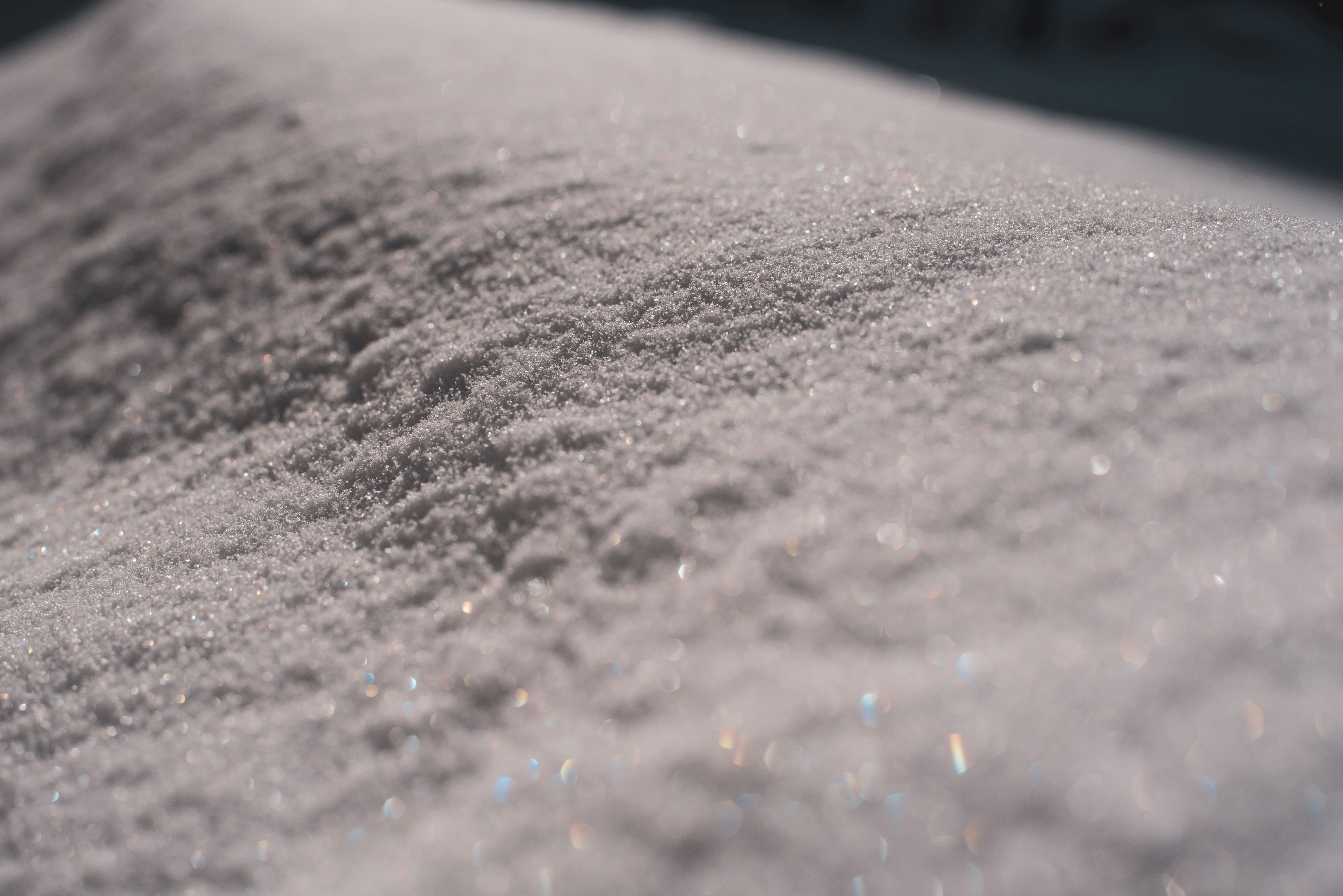 Photo by tayannphoto