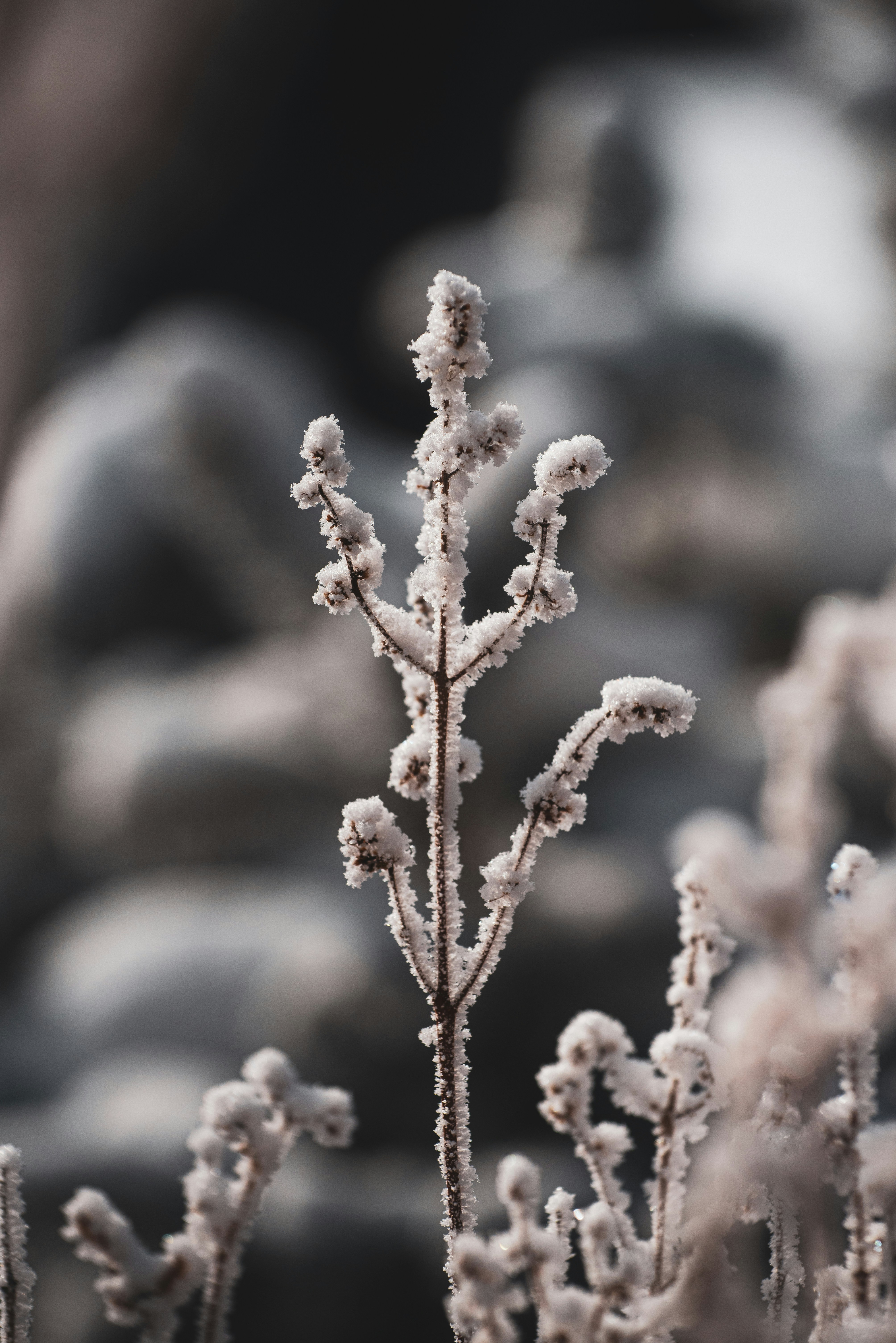 Photo by tayannphoto