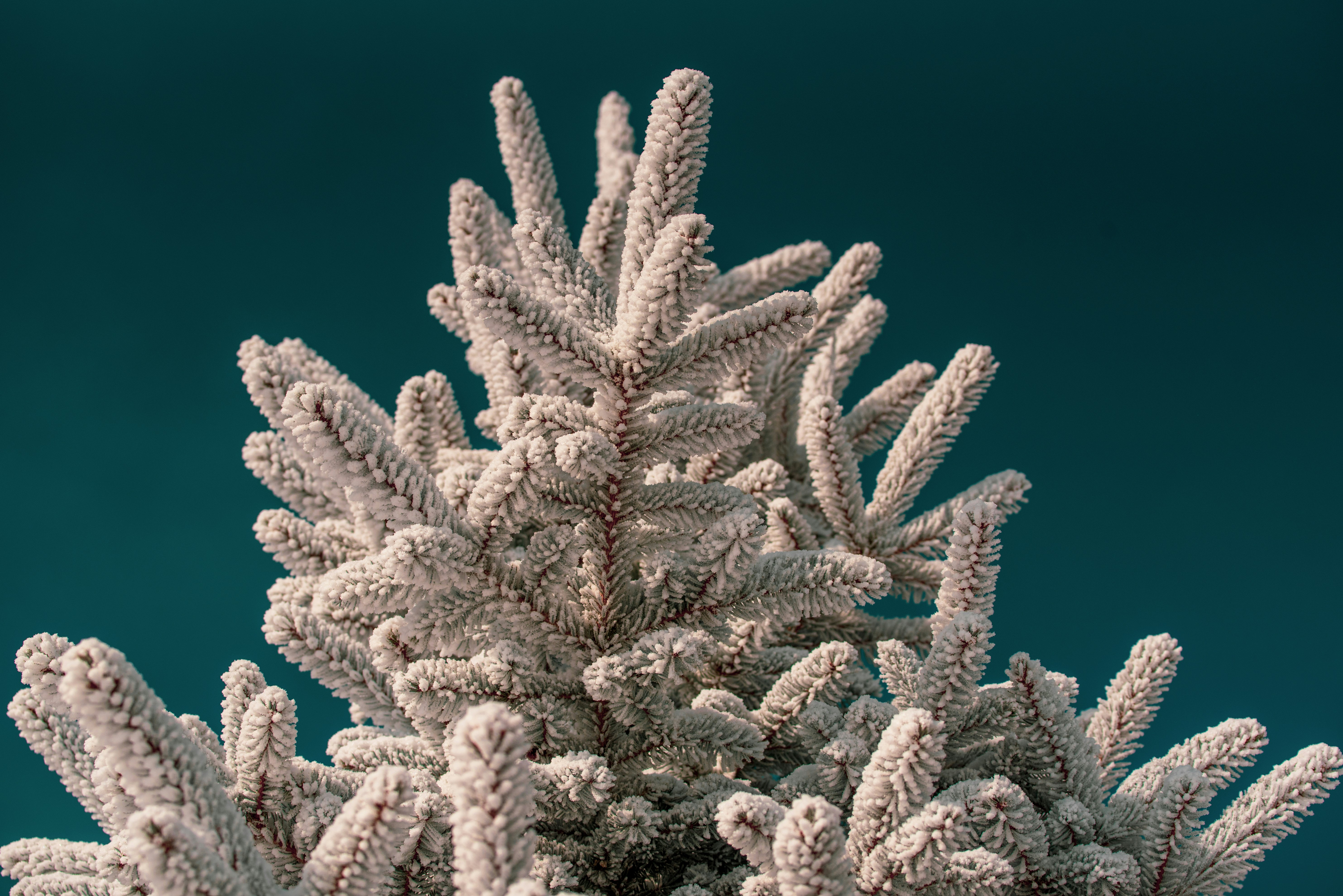 Photo by tayannphoto