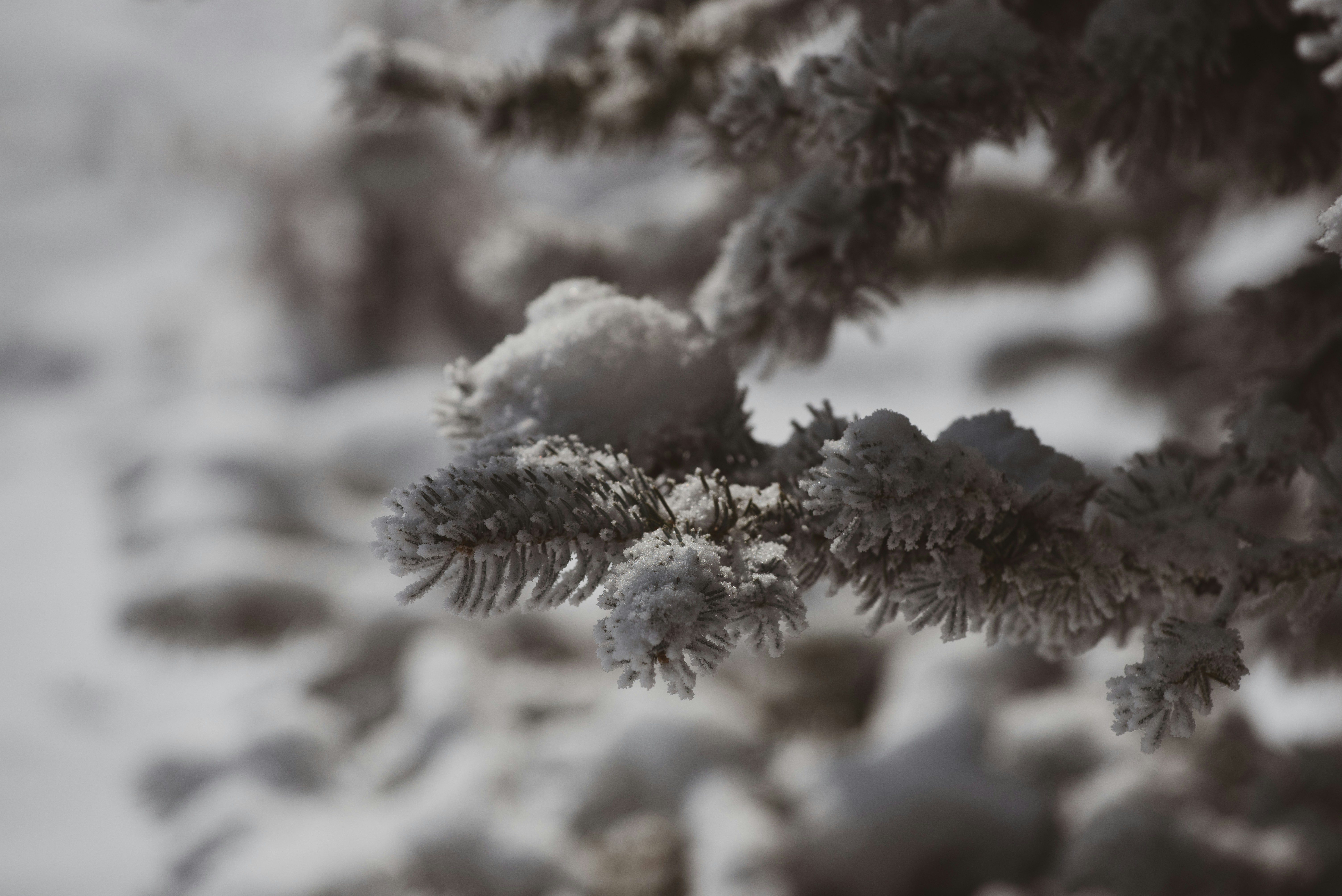 Photo by tayannphoto